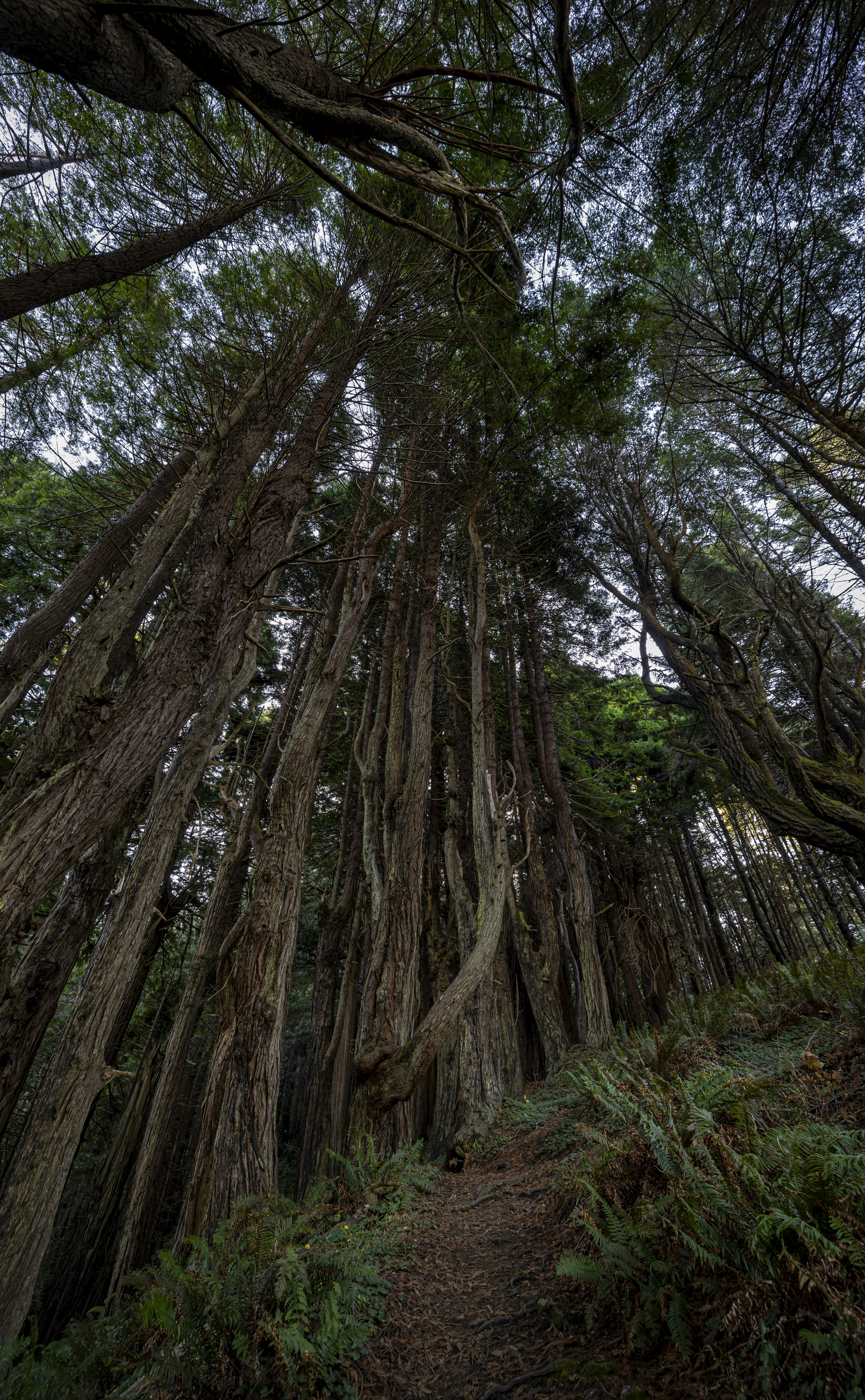 Photo by leo_visions_