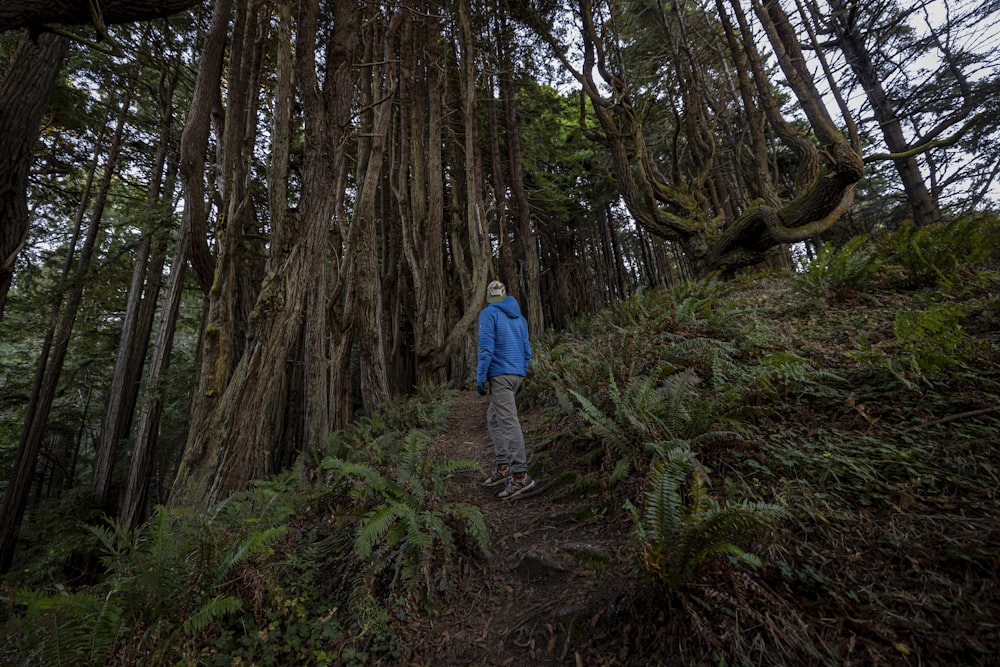 a person walking on a trail in the woods