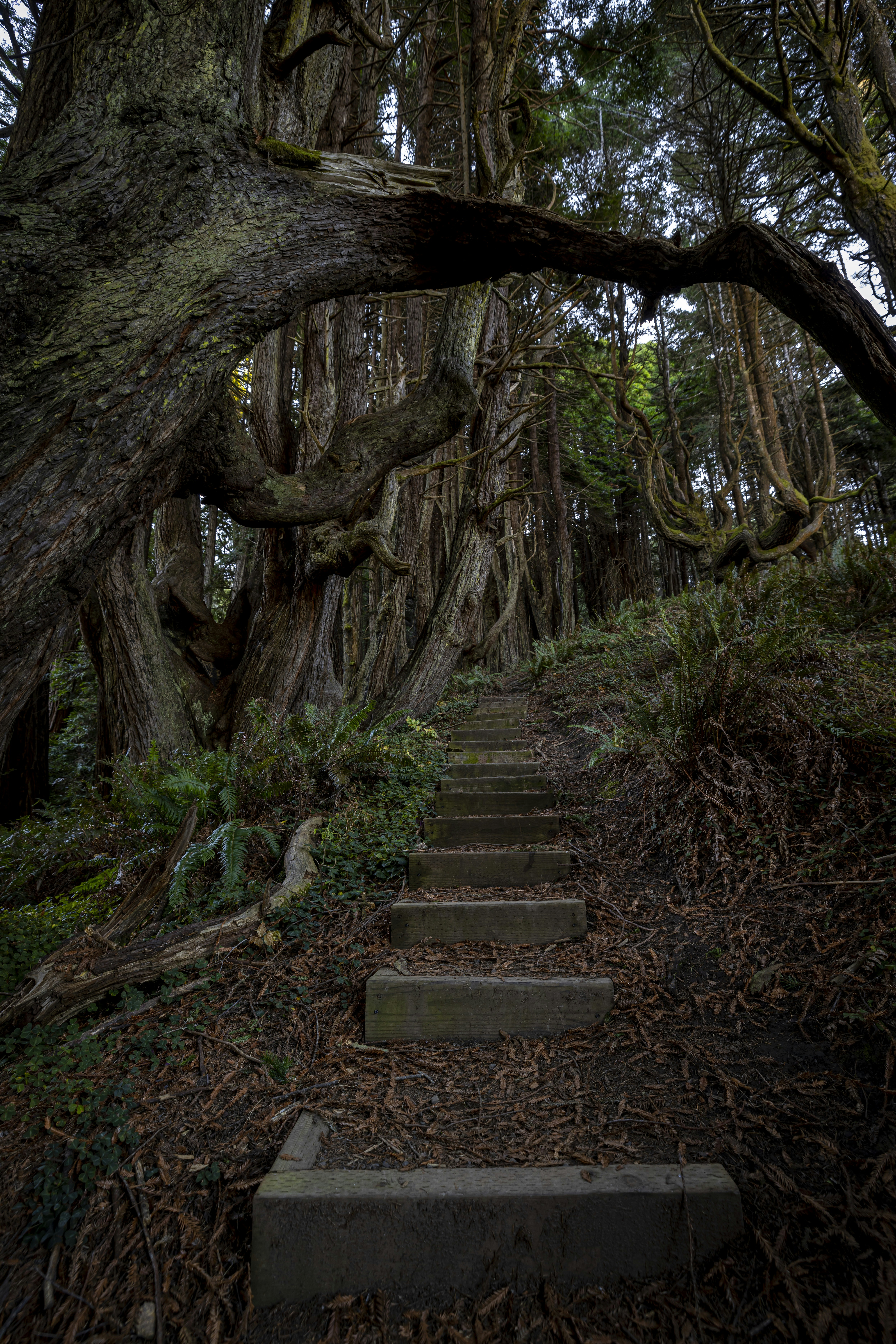 Photo by leo_visions_