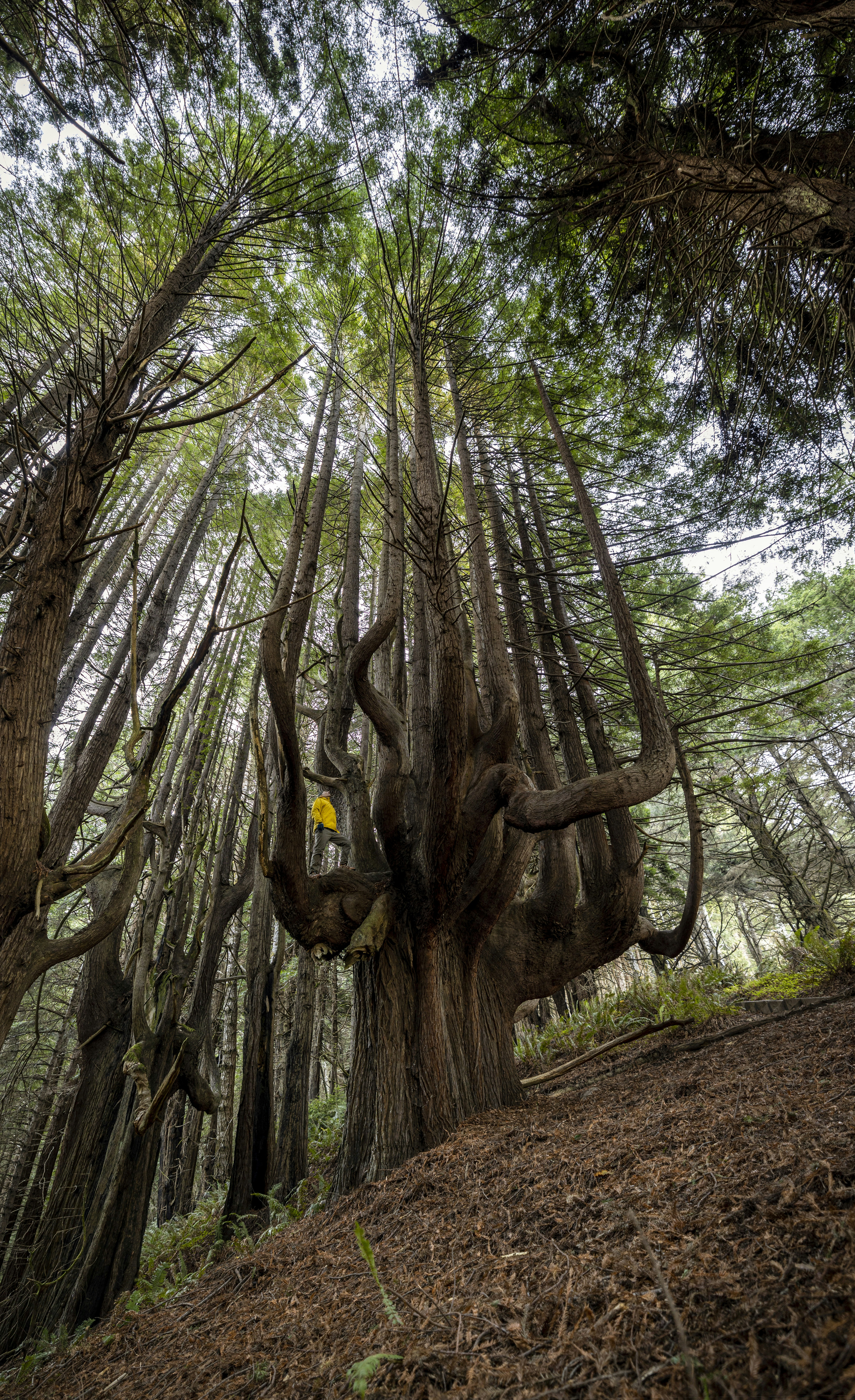 Photo by leo_visions_