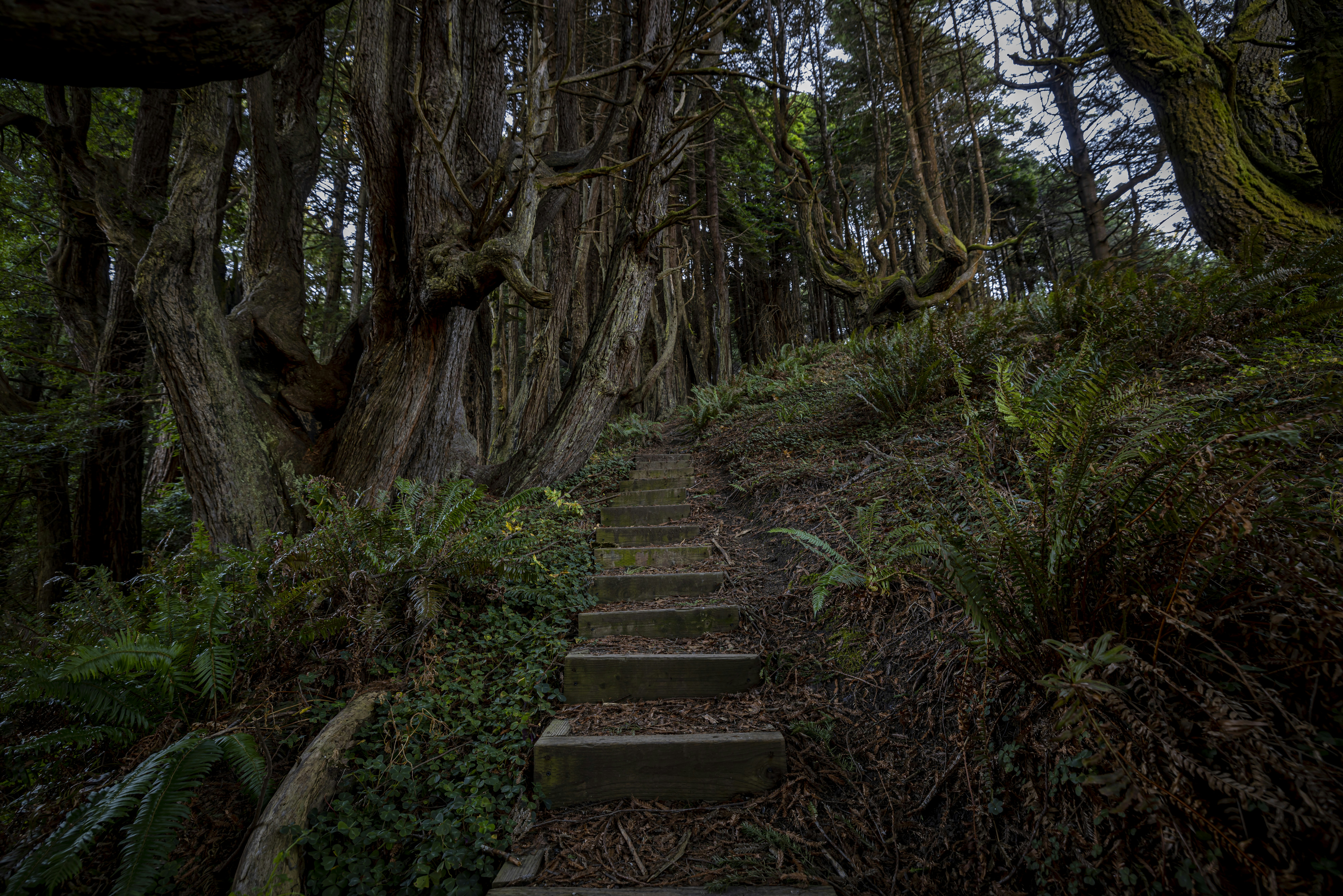 Photo by leo_visions_