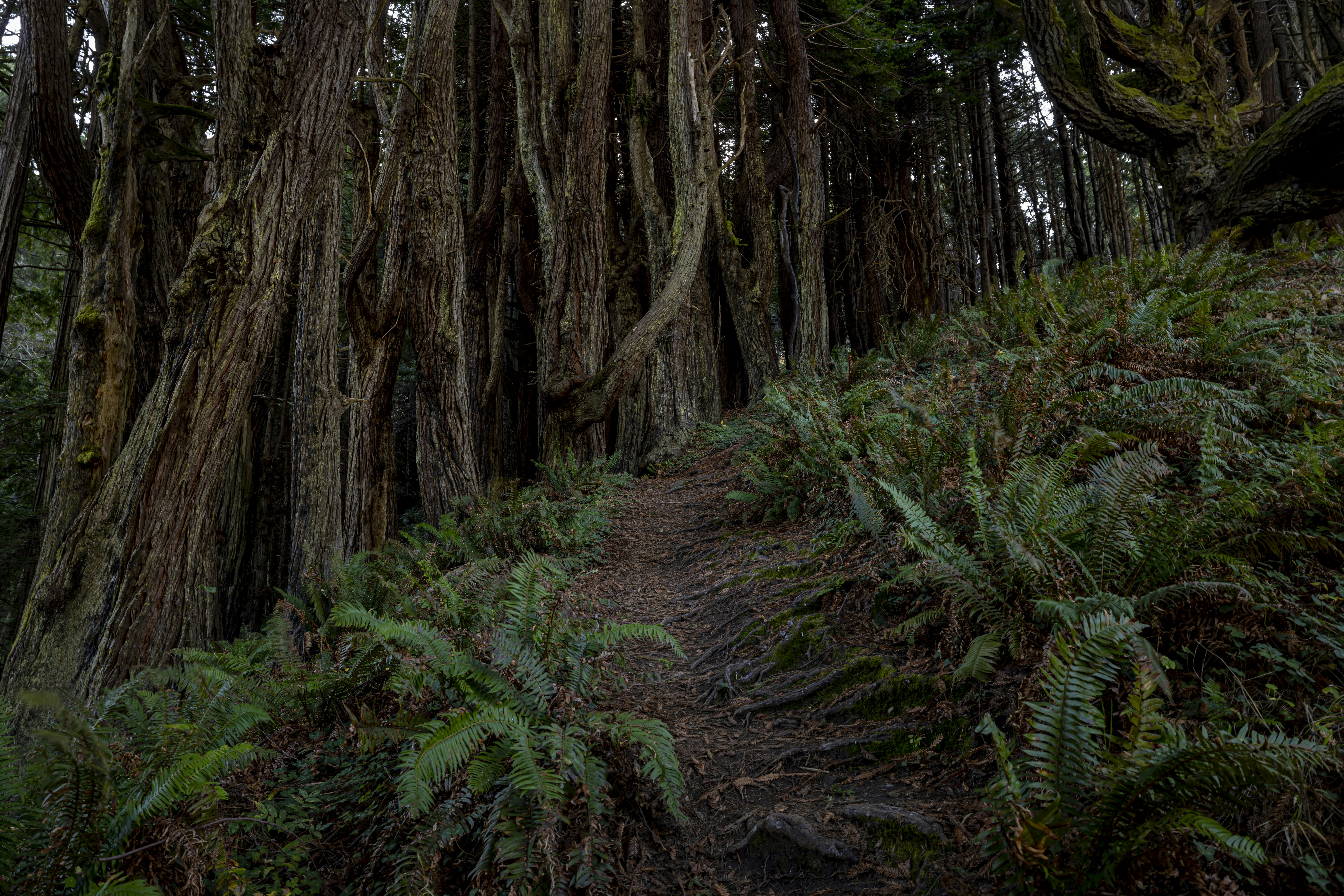 Photo by leo_visions_