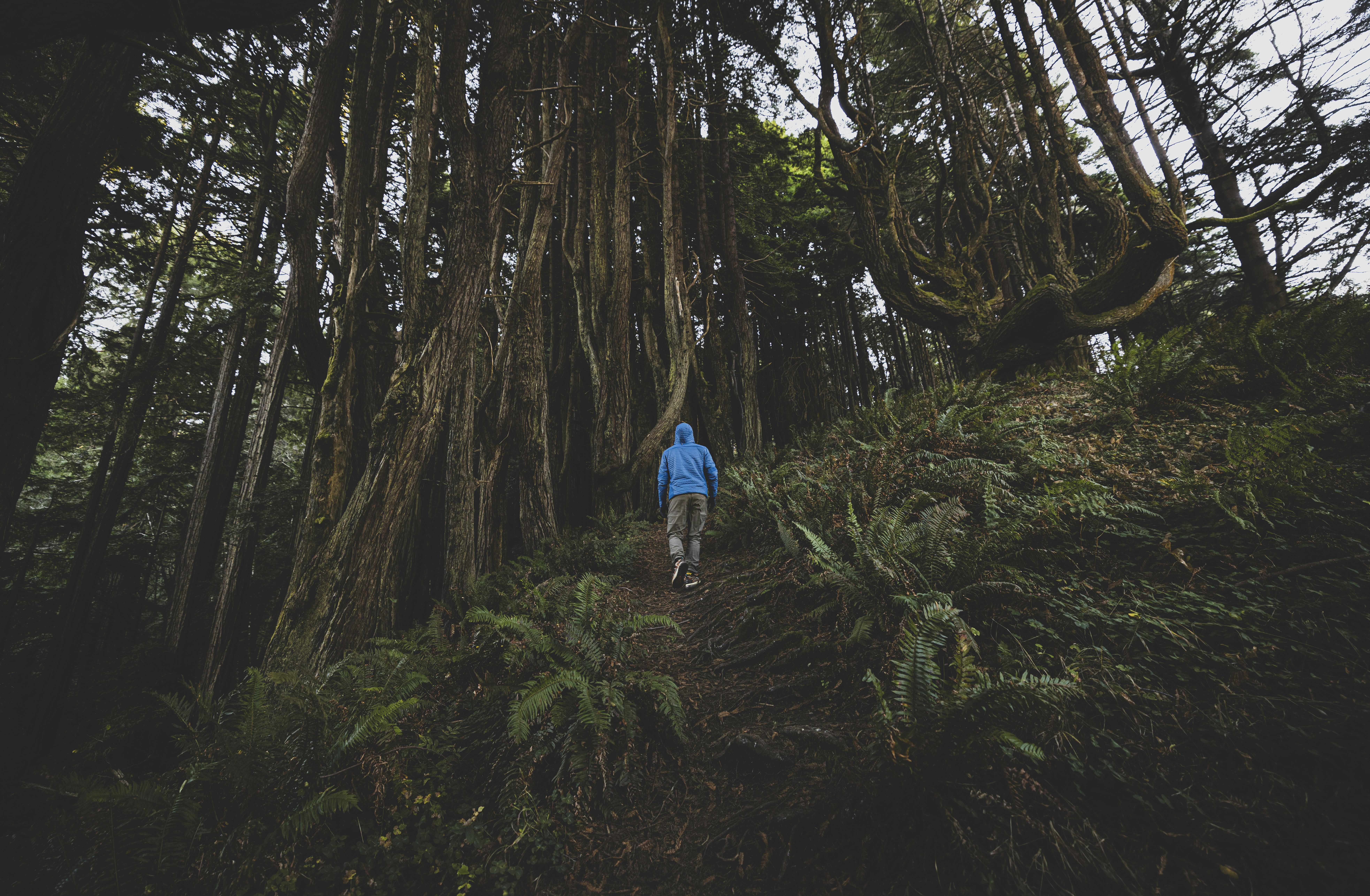 Photo by leo_visions_