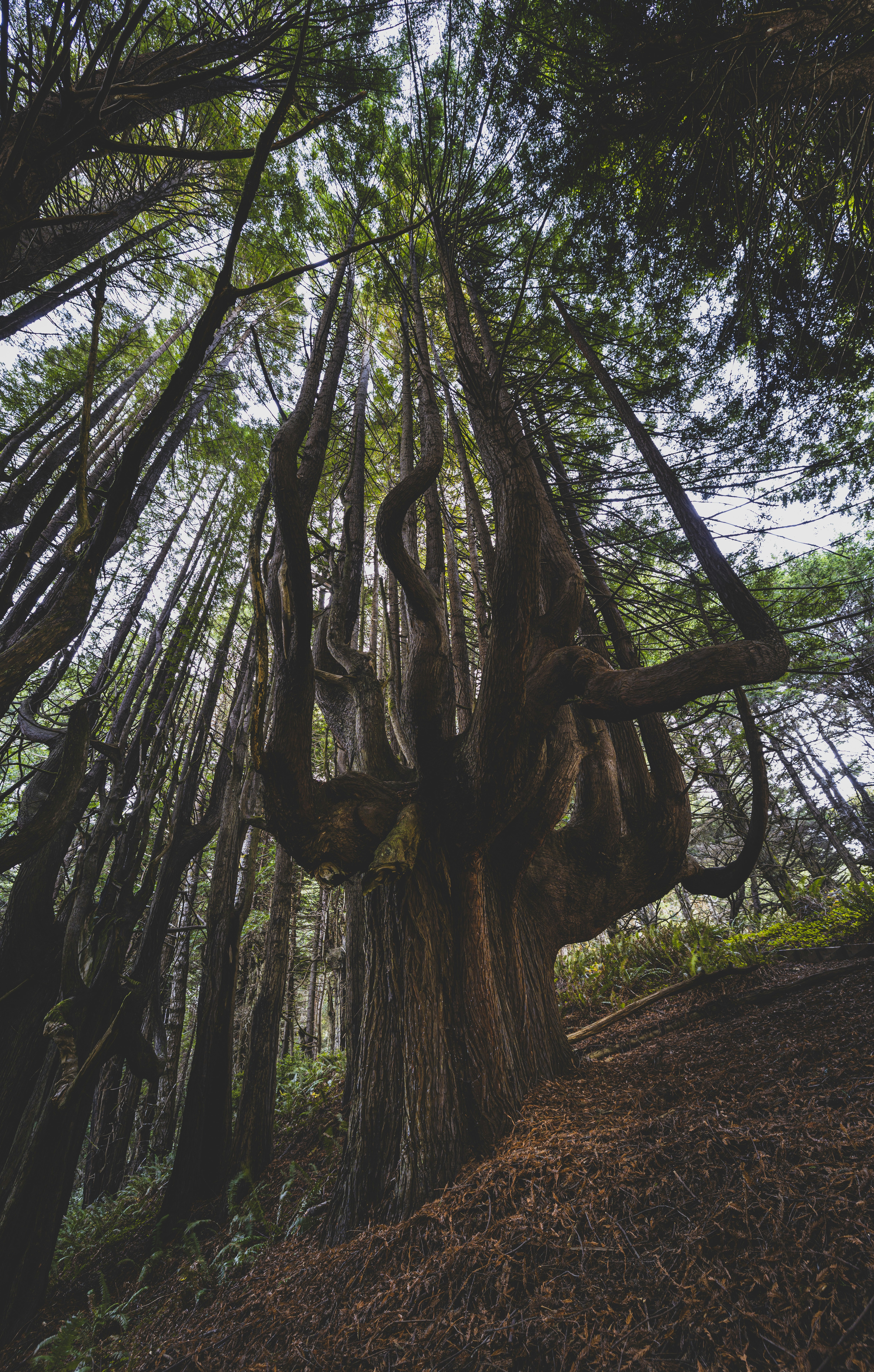 Photo by leo_visions_