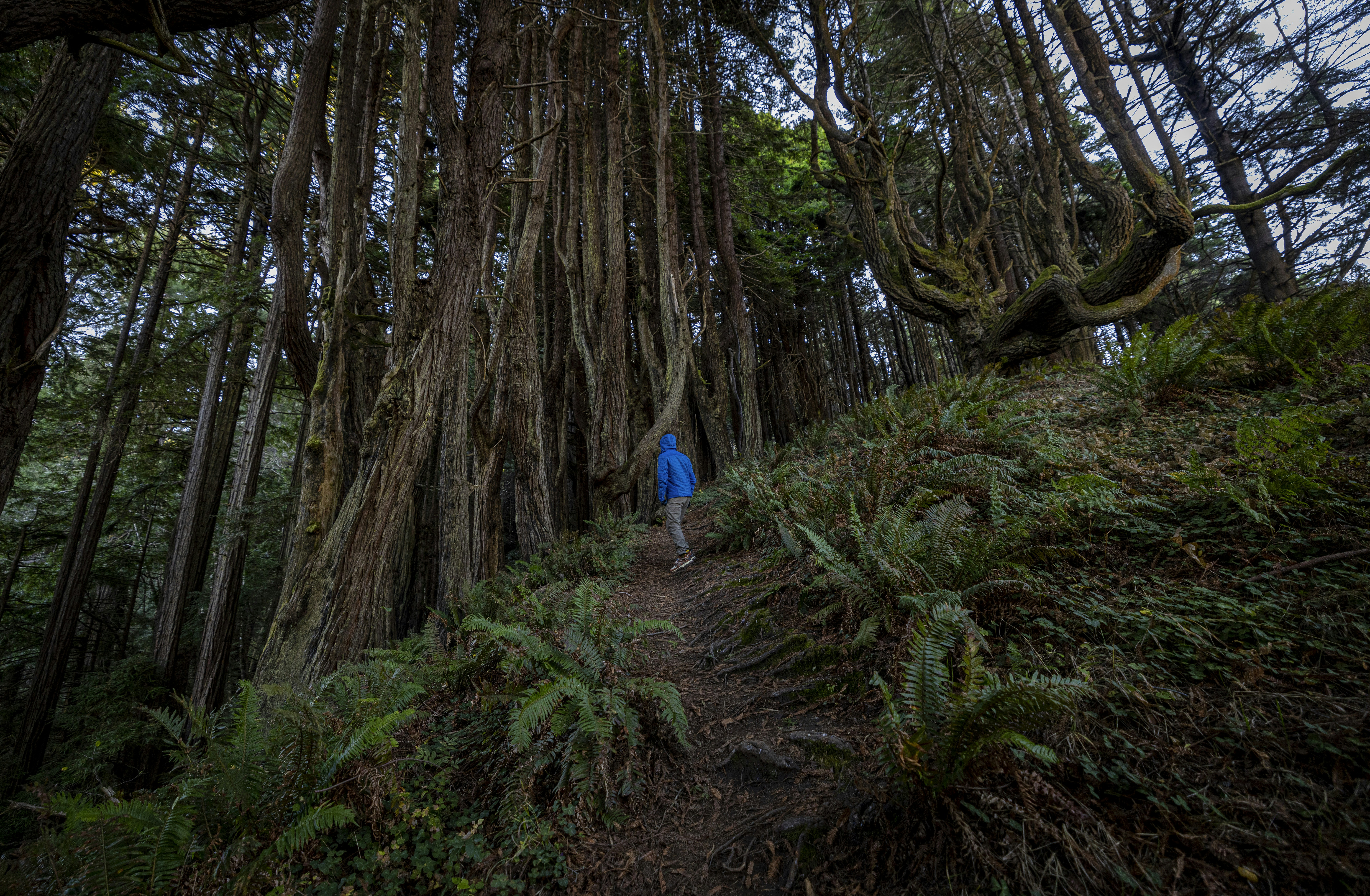 Photo by leo_visions_