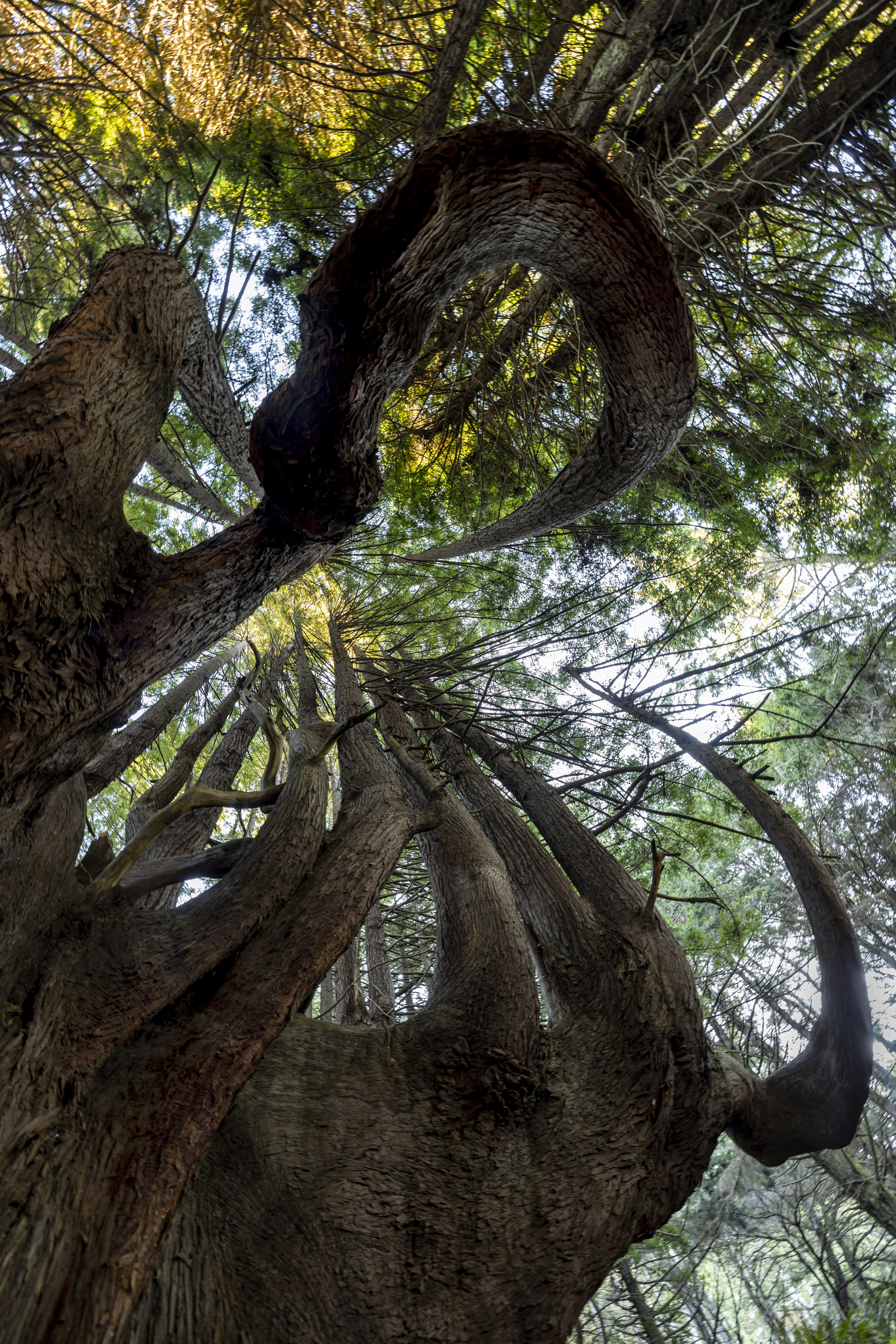 Photo by leo_visions_