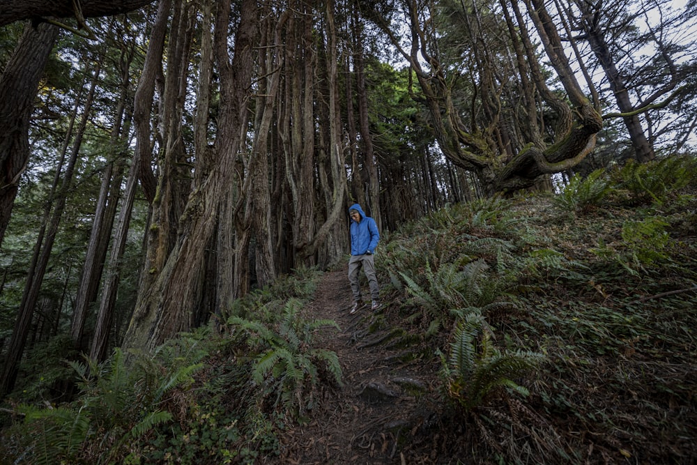 a person walking in a forest