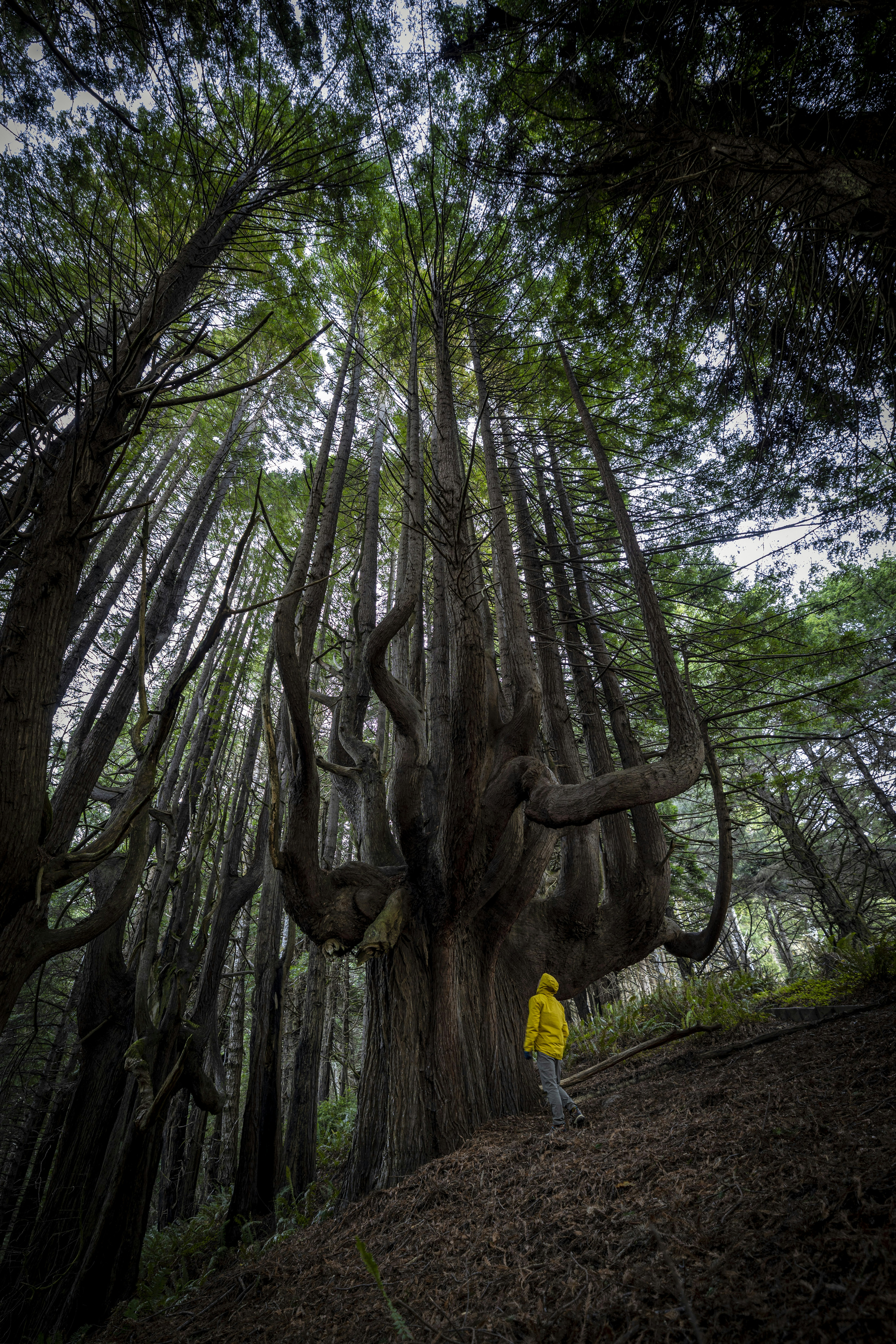 Photo by leo_visions_