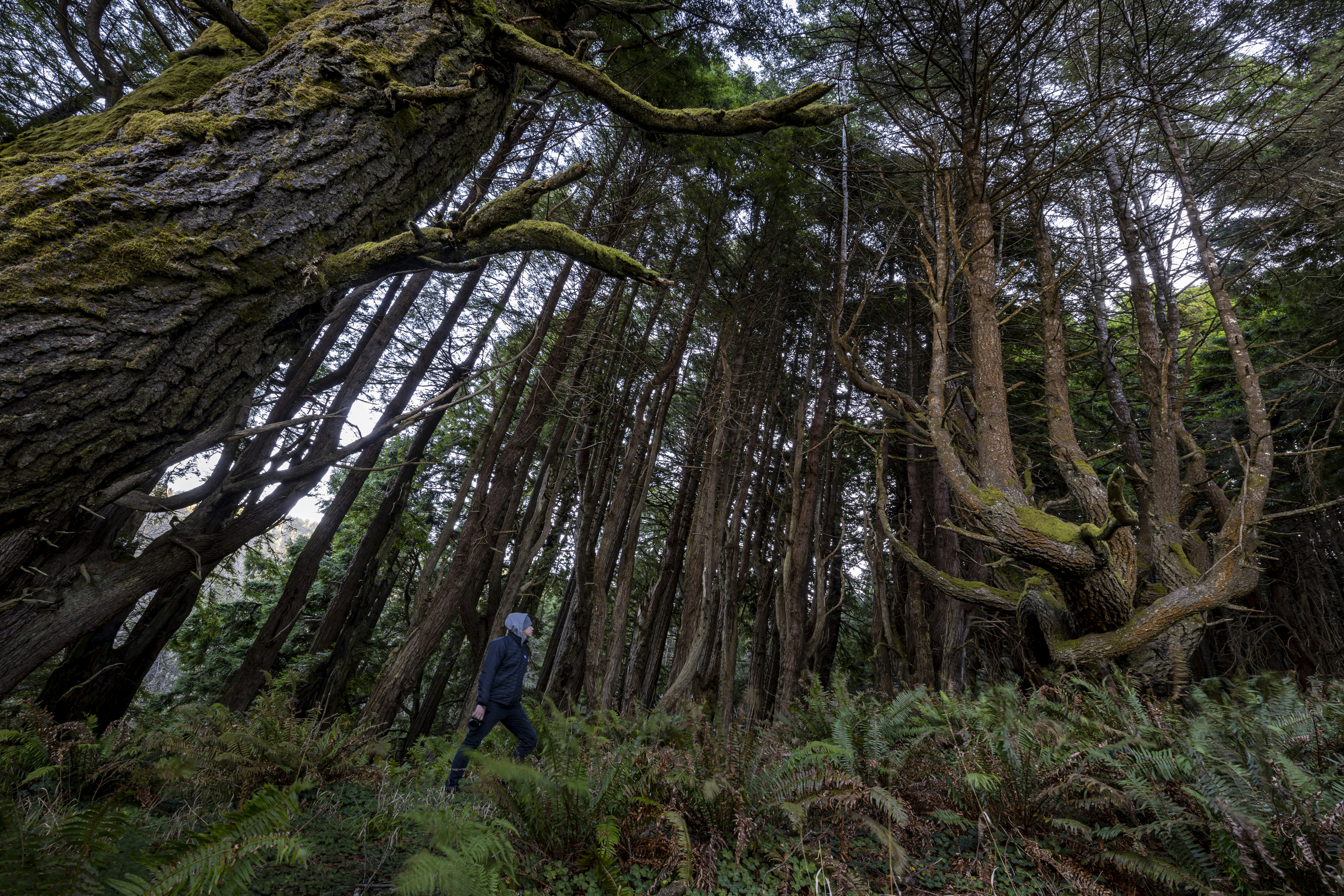 Photo by leo_visions_