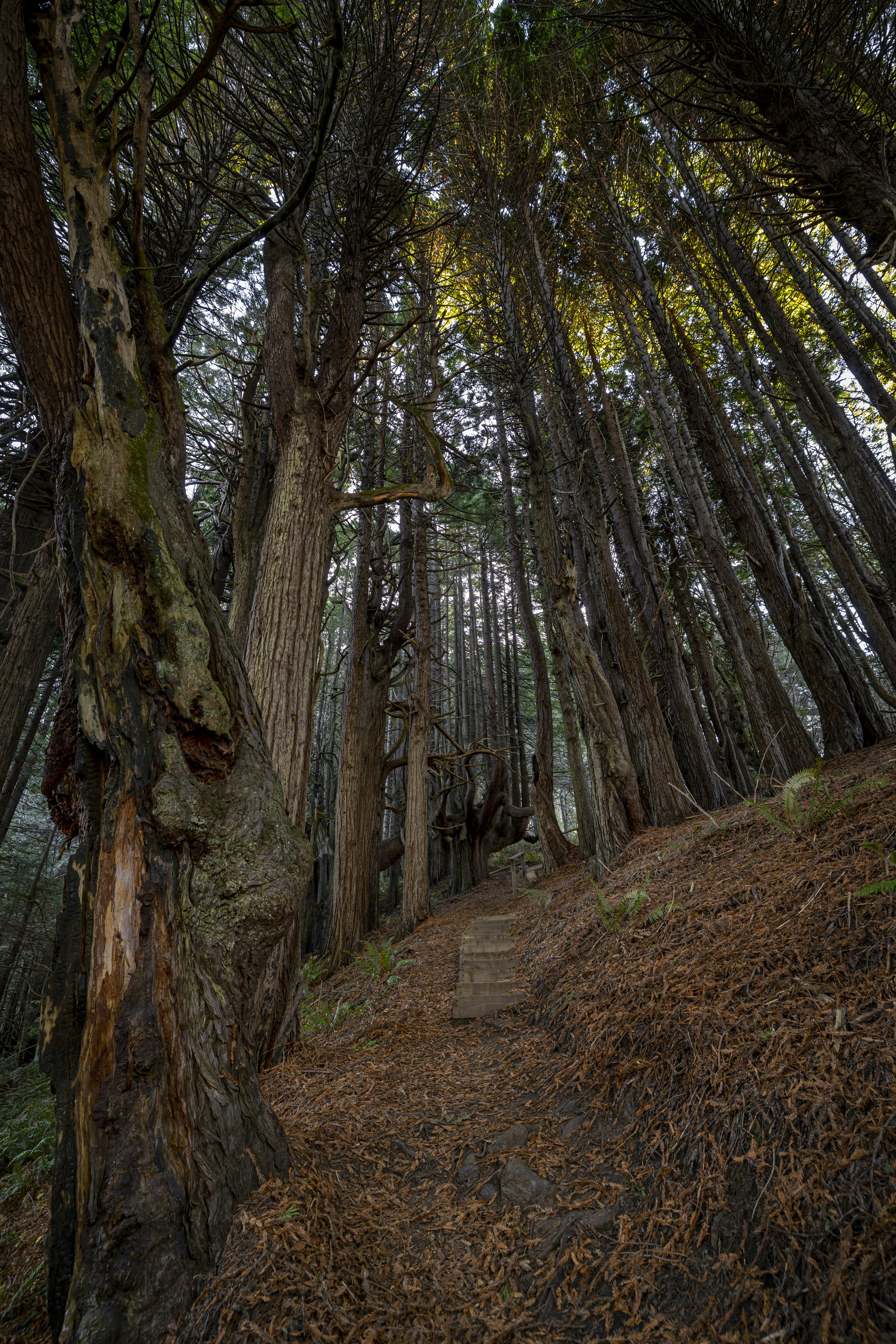 Photo by leo_visions_