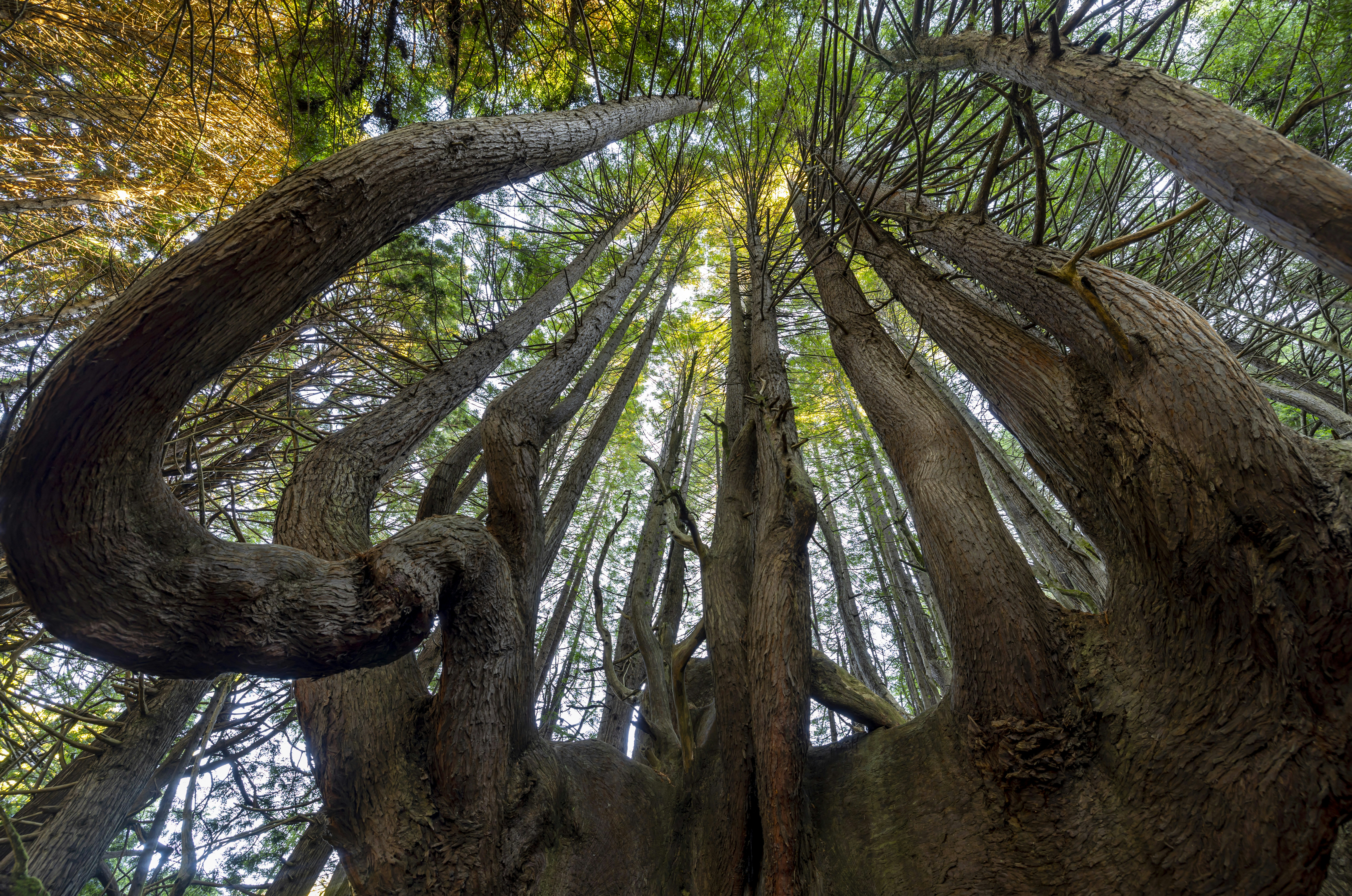 Photo by leo_visions_