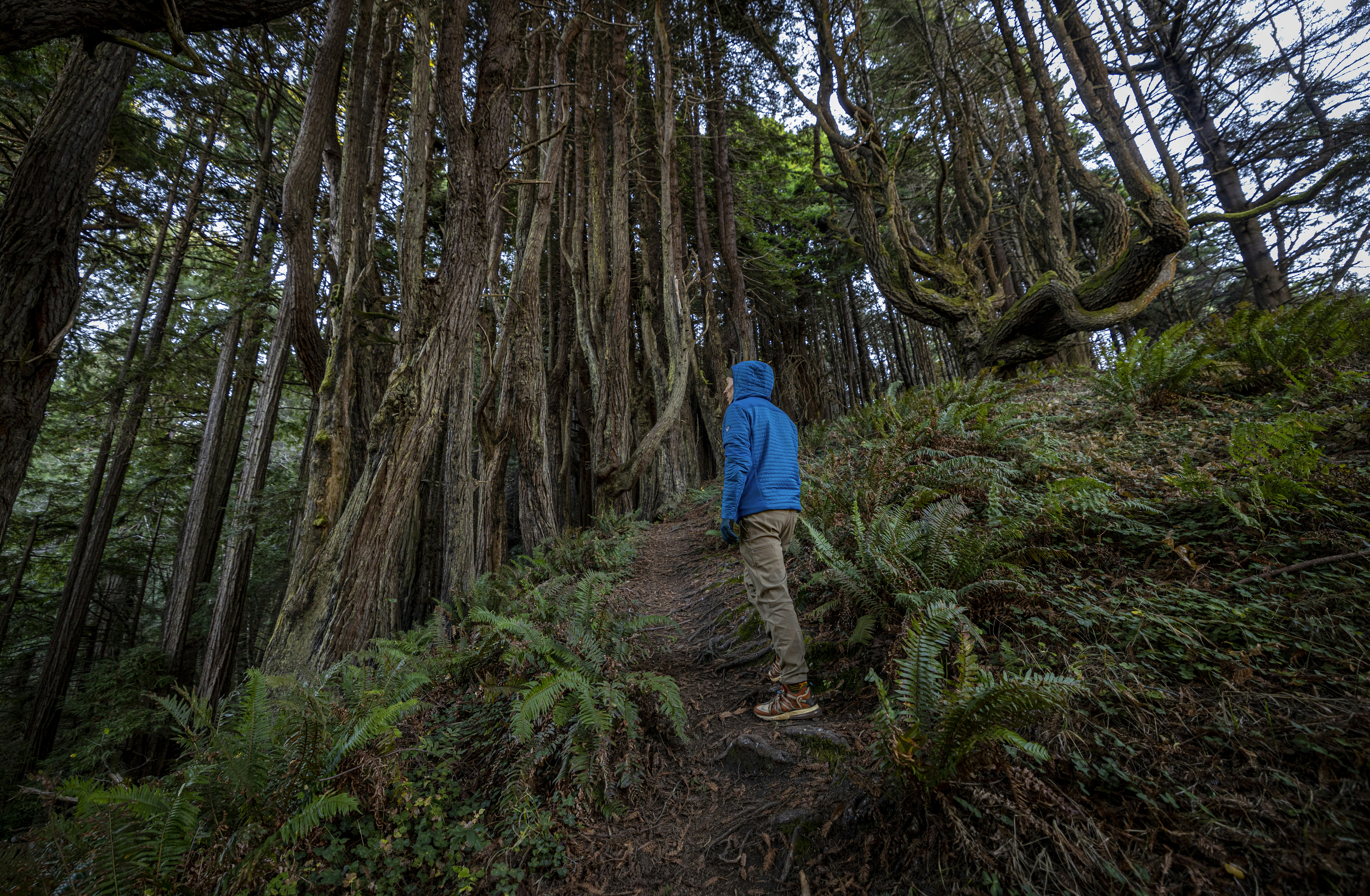 Photo by leo_visions_