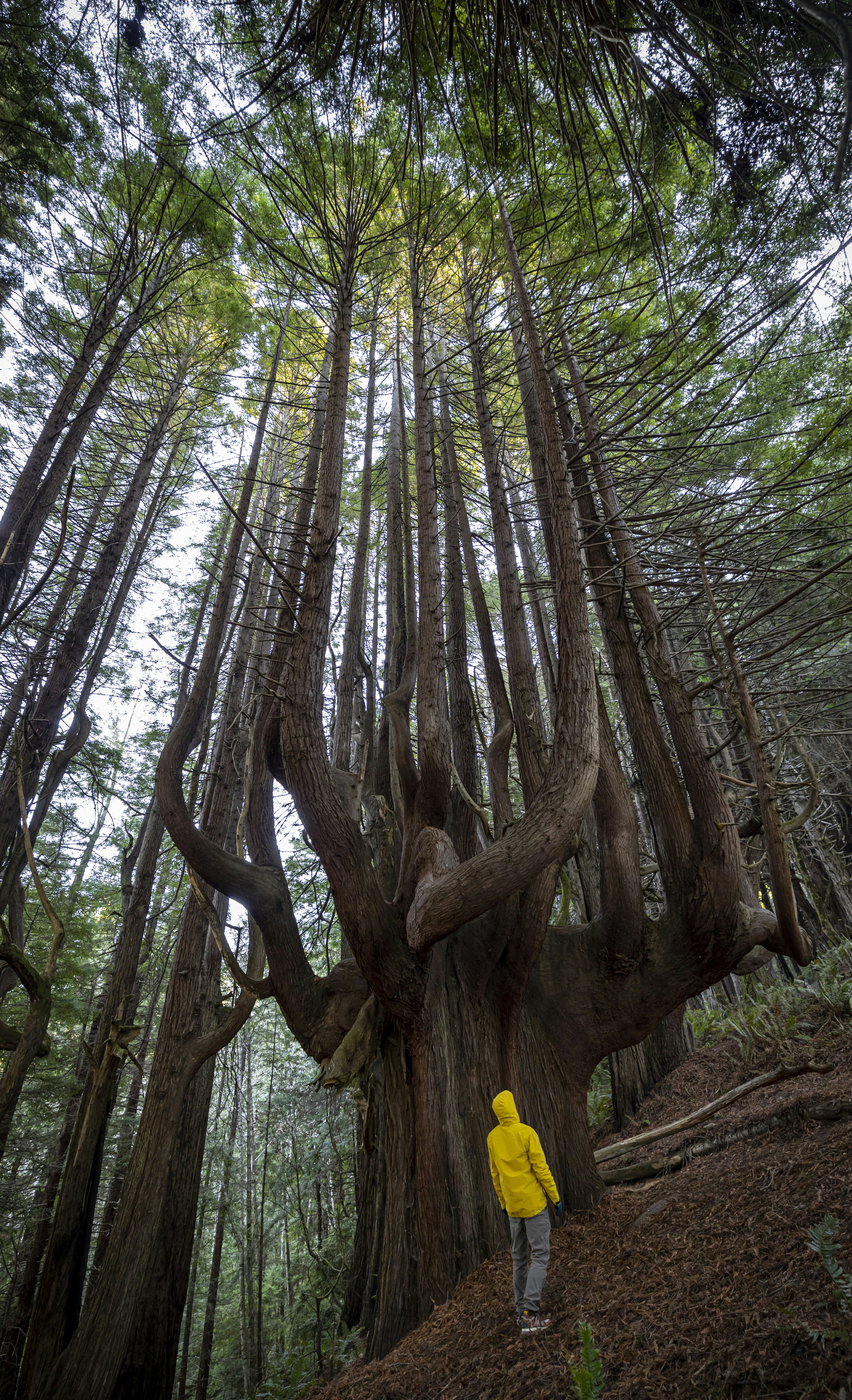 Photo by leo_visions_