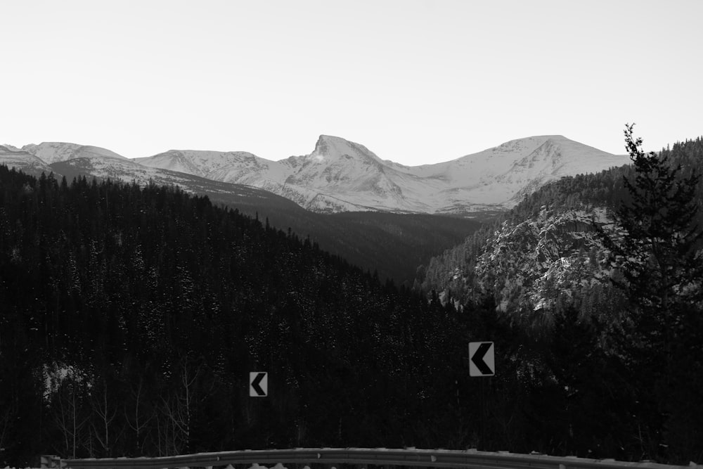 a mountain range with trees