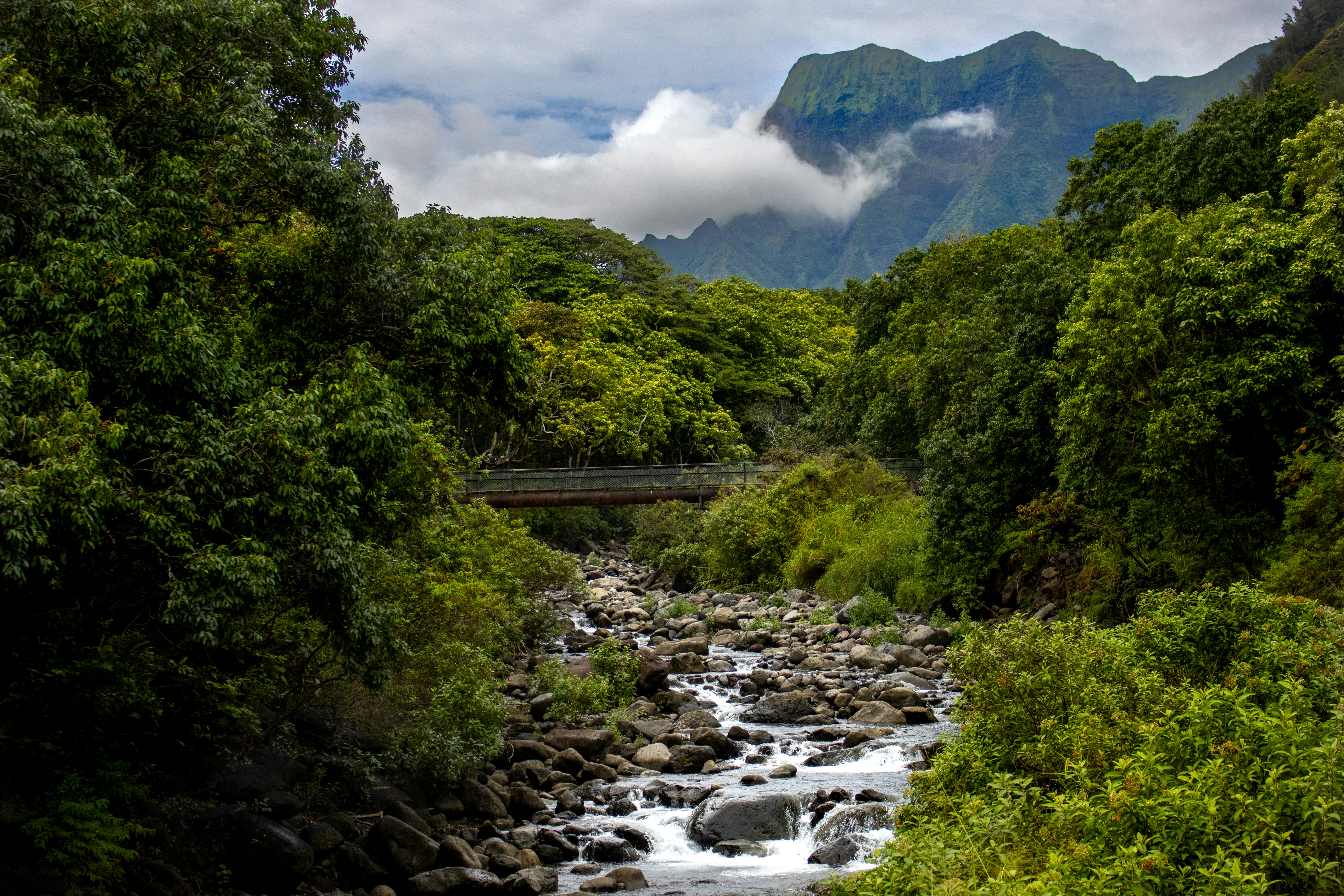 Photo by jeremiahjrross