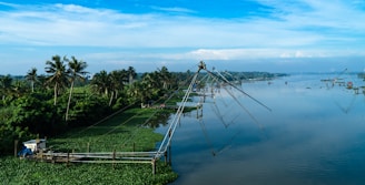 a body of water with trees and grass around it