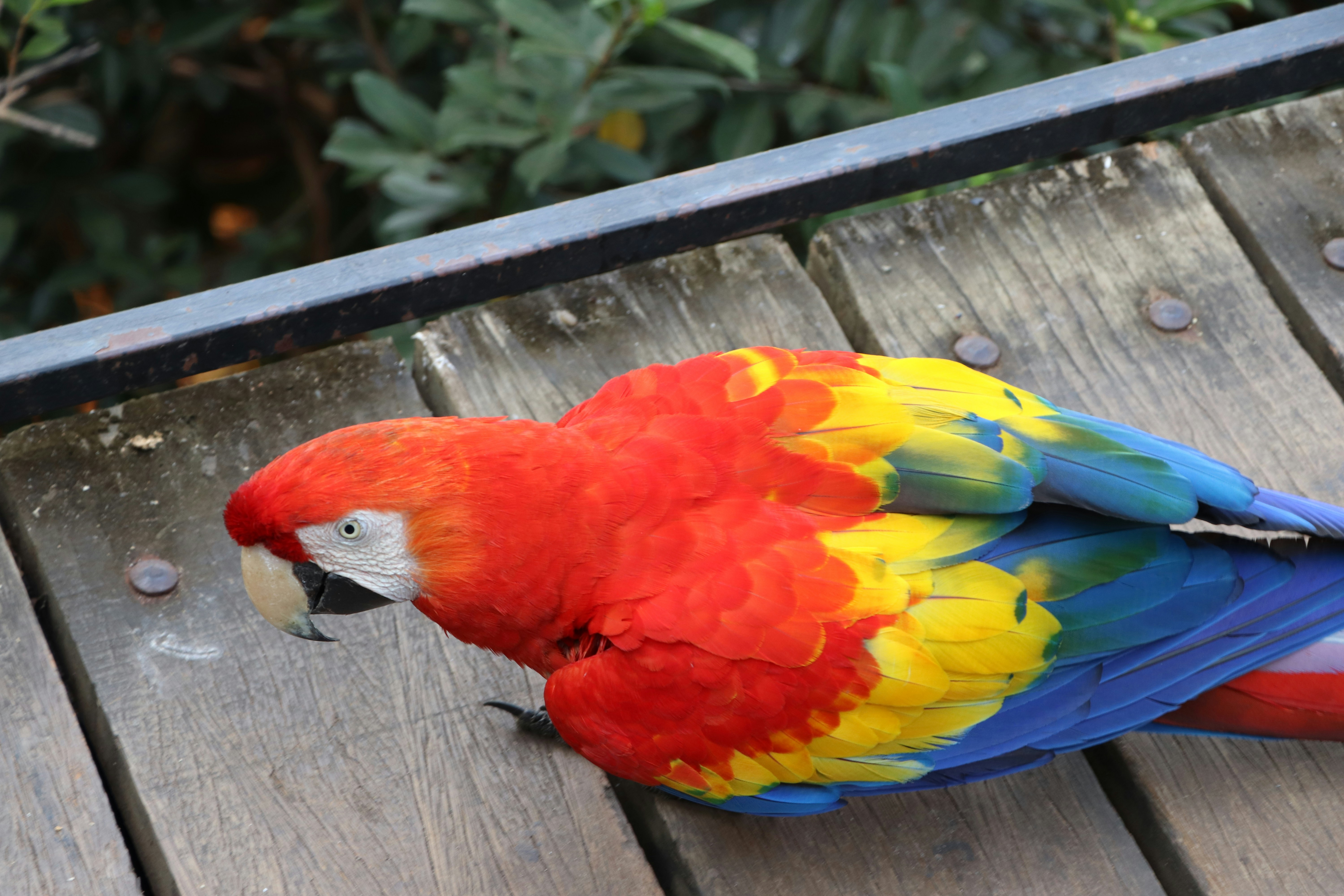 Photo by sithula_333