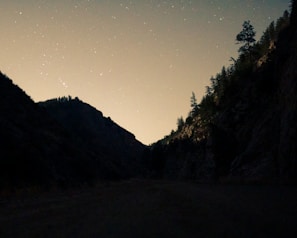 A detailed illustration of a night landscape with mountains silhouetted against a starry sky.