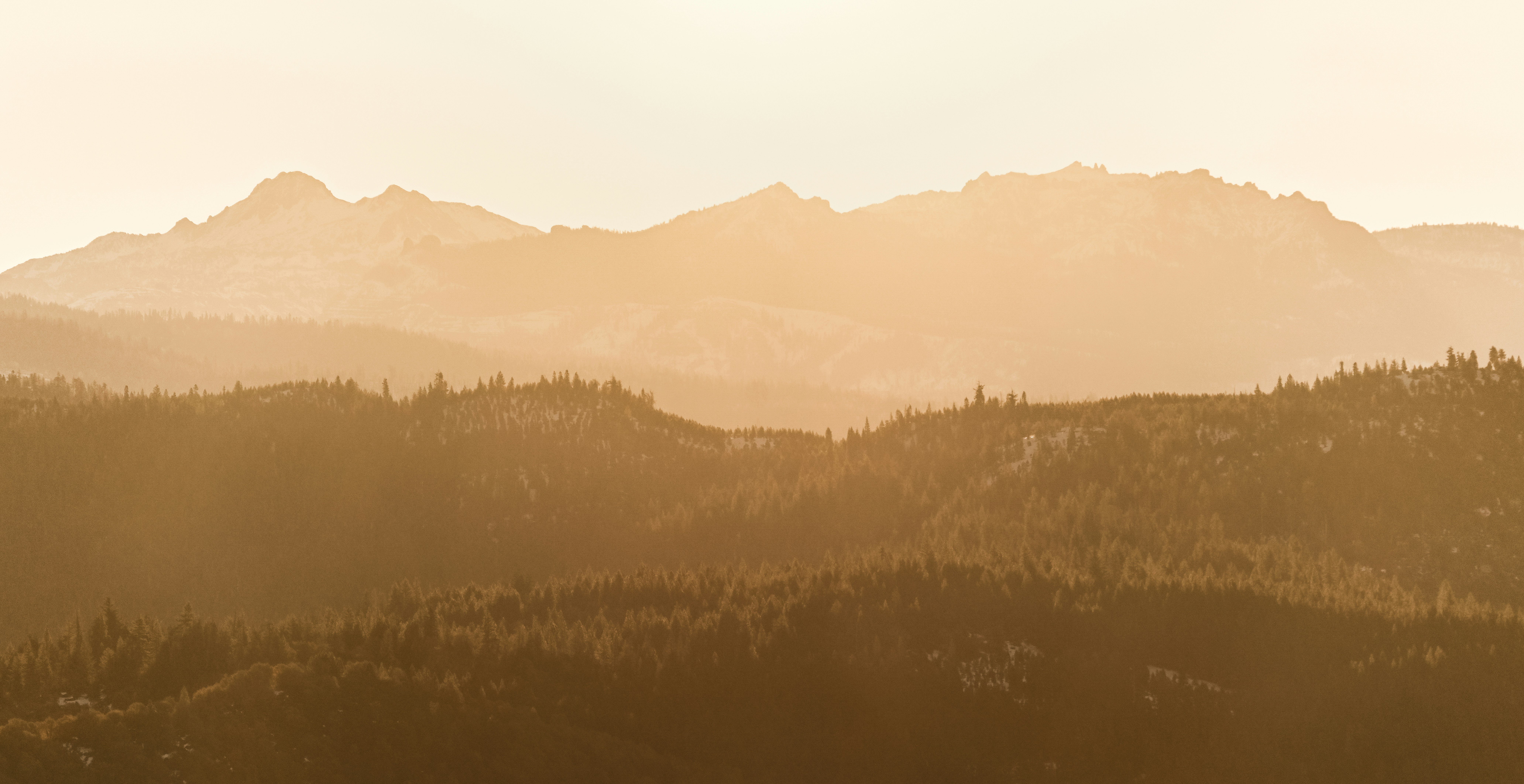 Photo by marybrennan