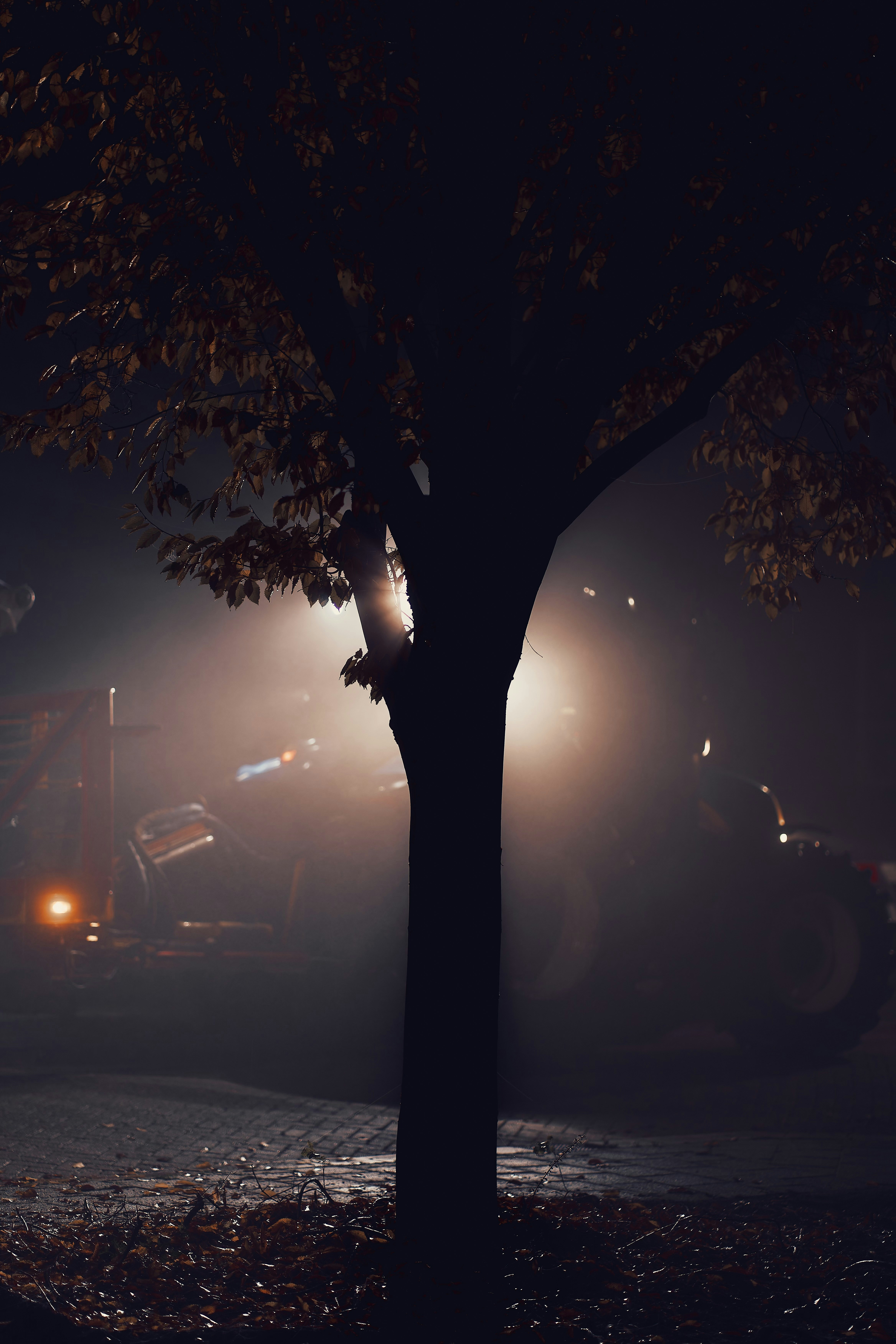 Photo by denp