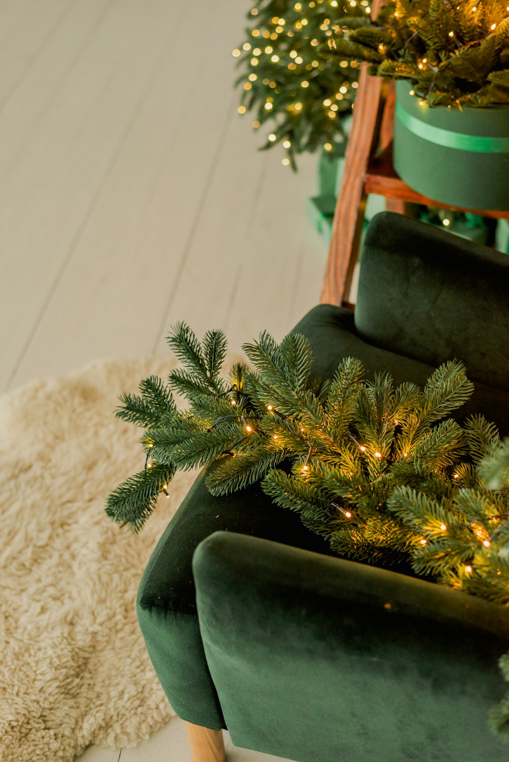 a small tree in a pot