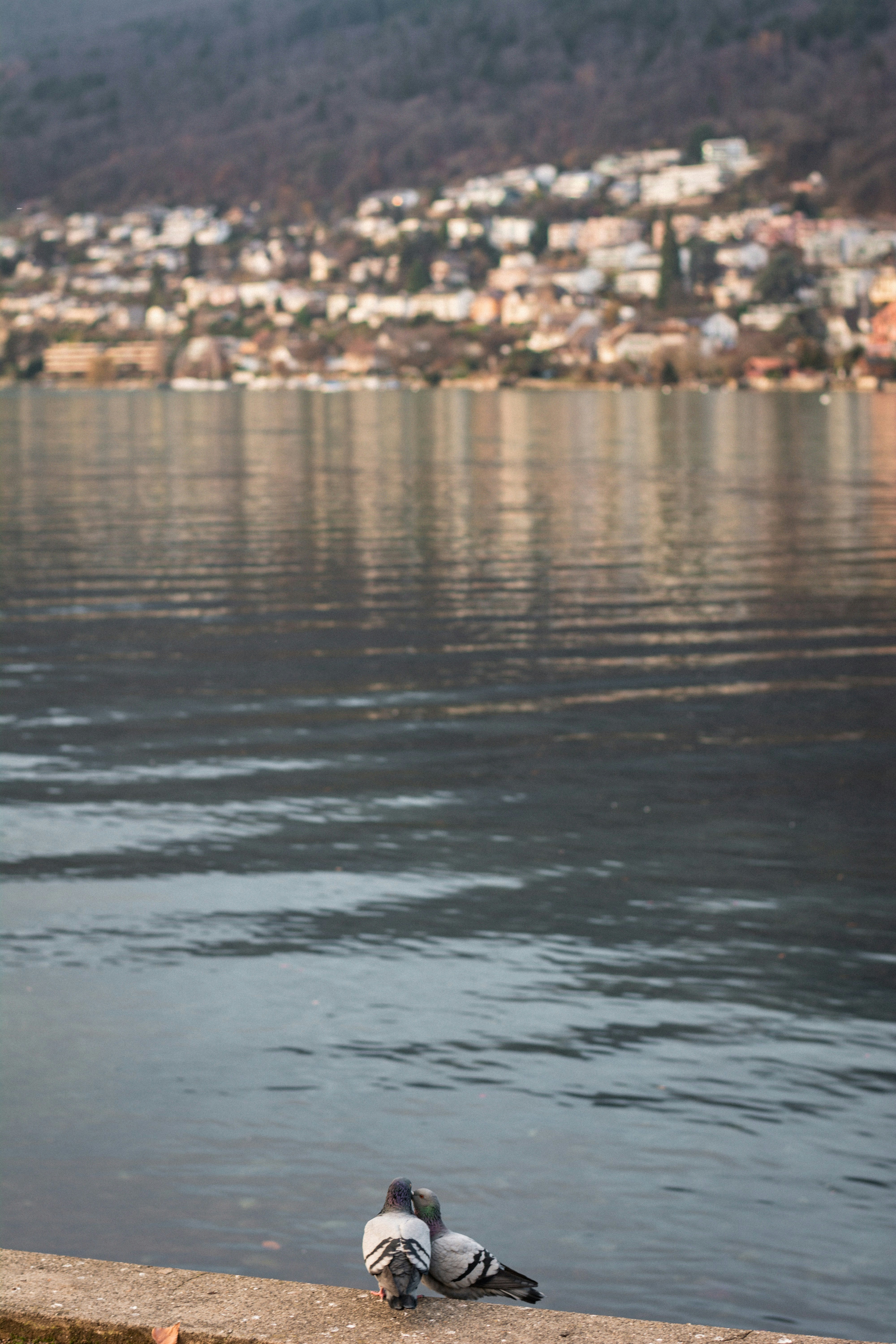 Photo by miguel_ind0