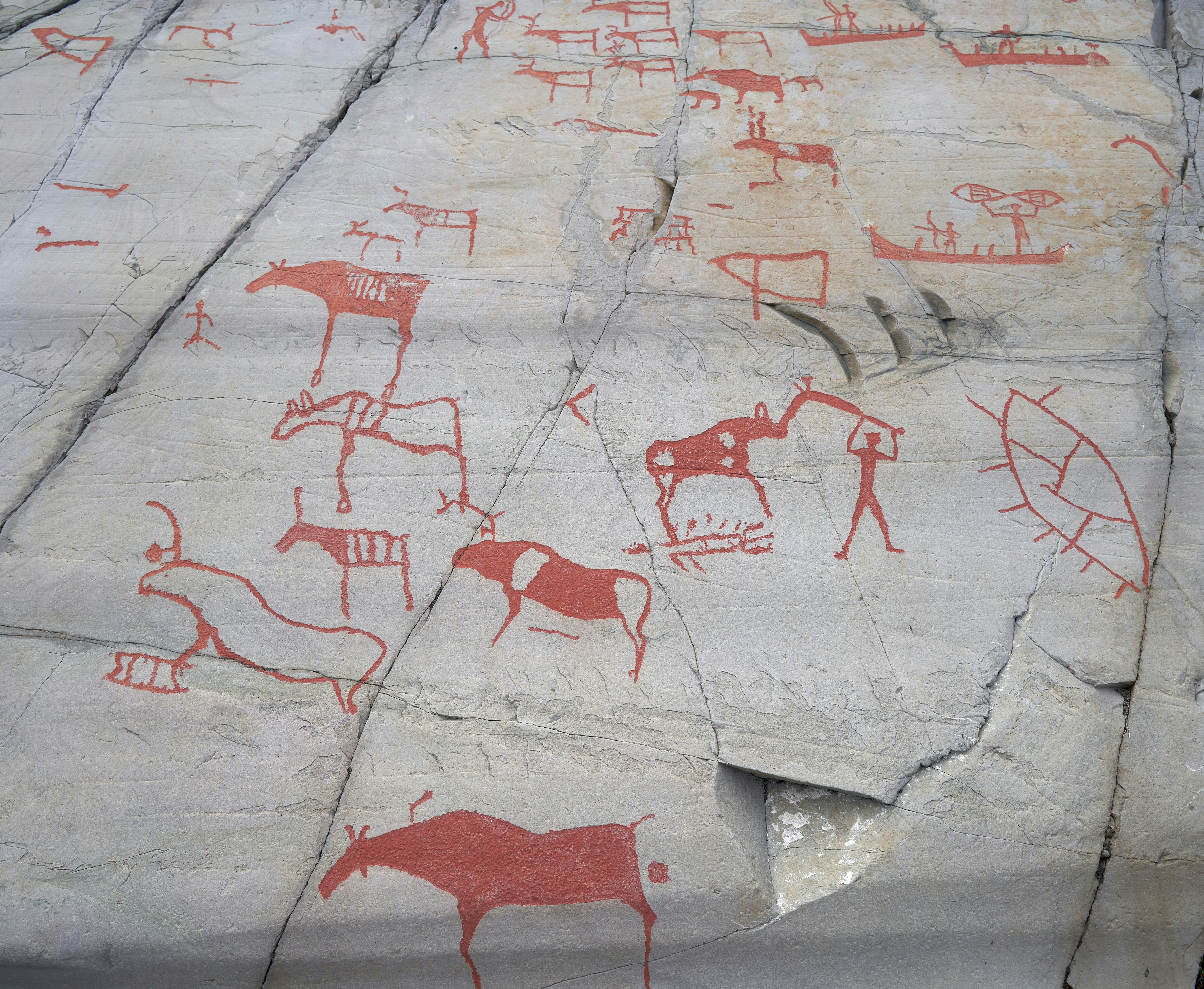 The image features ancient petroglyphs carved and painted onto a stone surface. The reddish-orange figures depict various animals, including deer and other horned animals, as well as human figures engaged in hunting activities. Boats and geometric shapes are also visible among the drawings, indicating scenes of hunting and possibly travel or ritualistic activities.