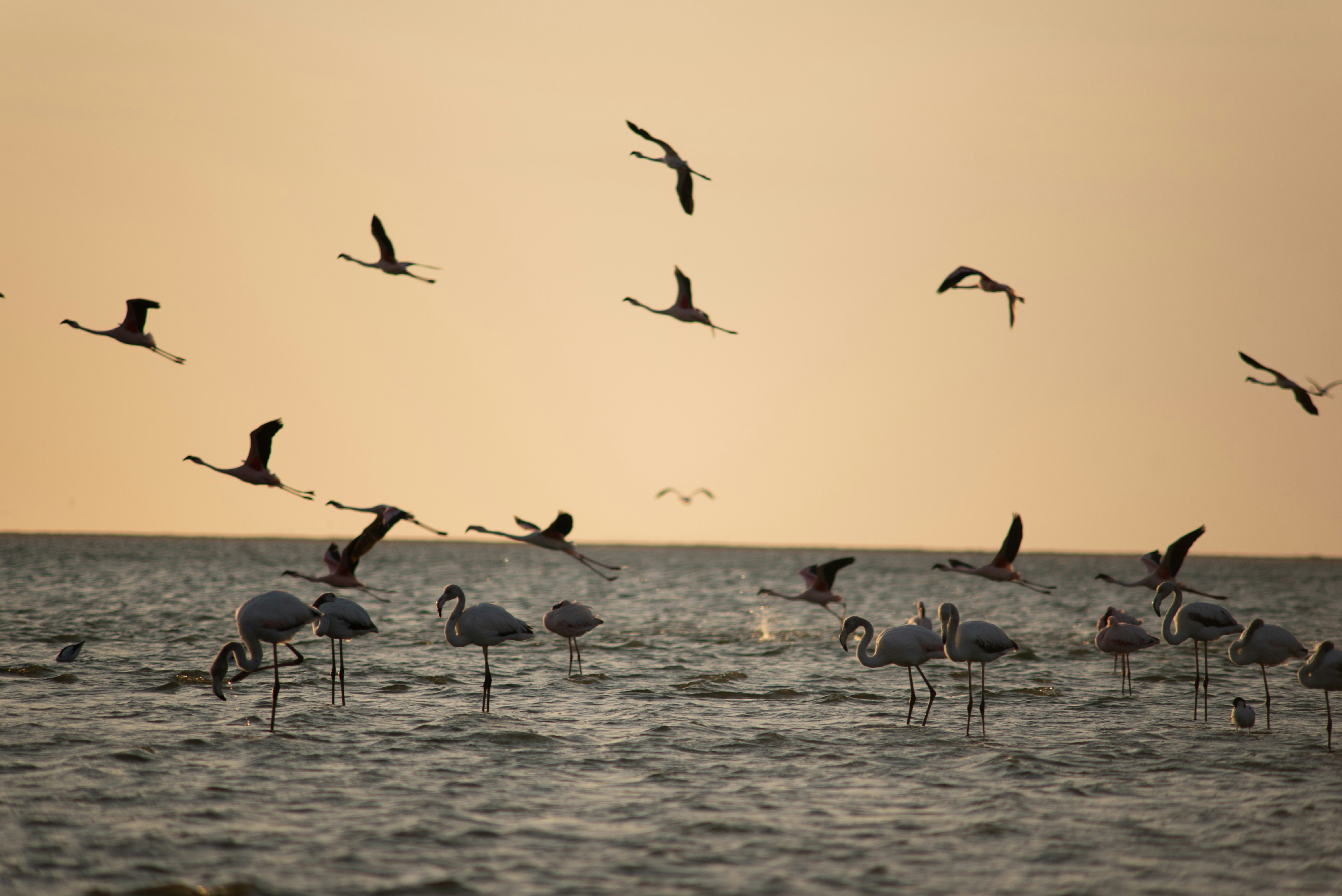 Photo by captoprisko