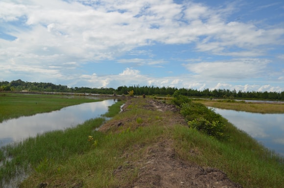 A serene landscape featuring a tranquil pathway leading to a peaceful meditation space.