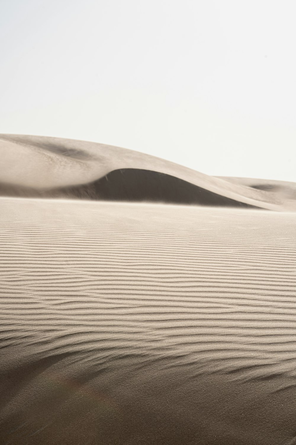 a close-up of a sand dune