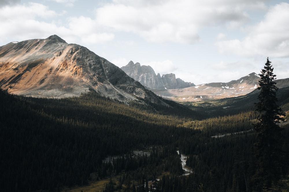 a valley with mountains in the background