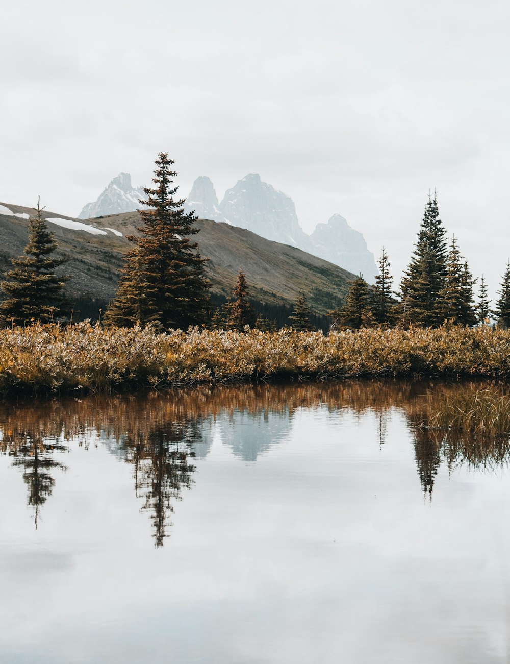 a lake with trees and mountains in the background