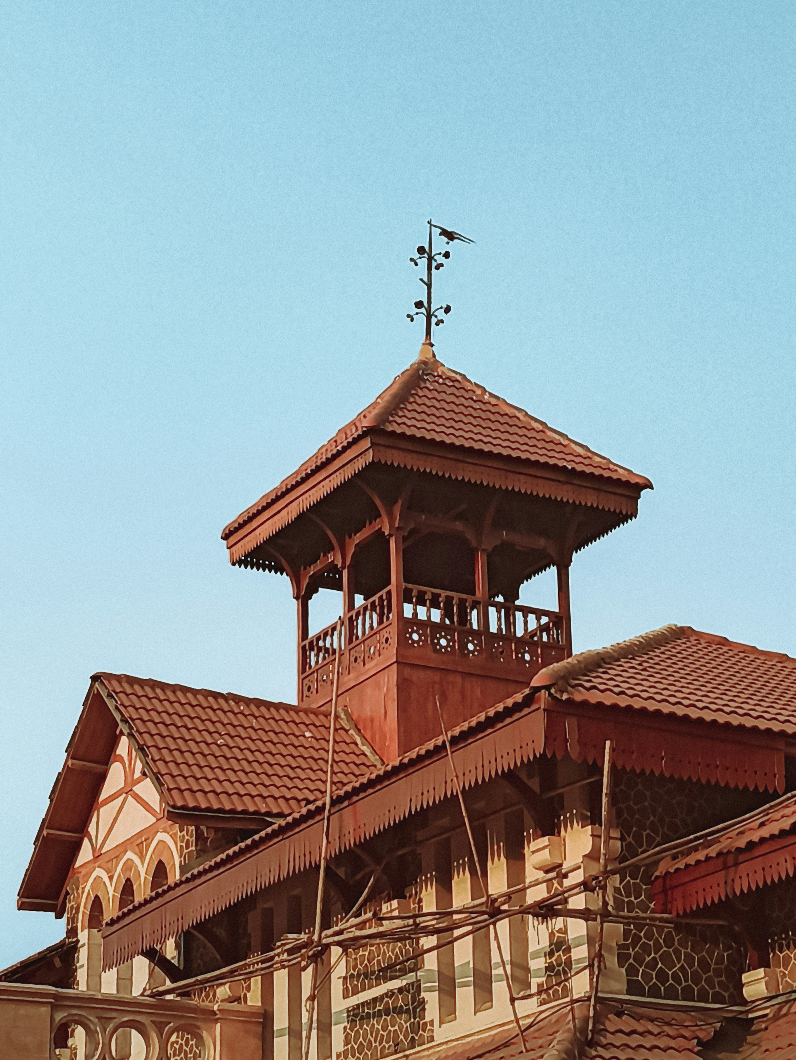 Photo by faltugrapher