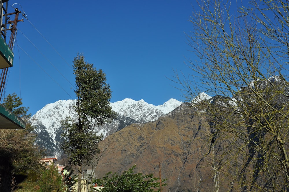 a snowy mountain with trees