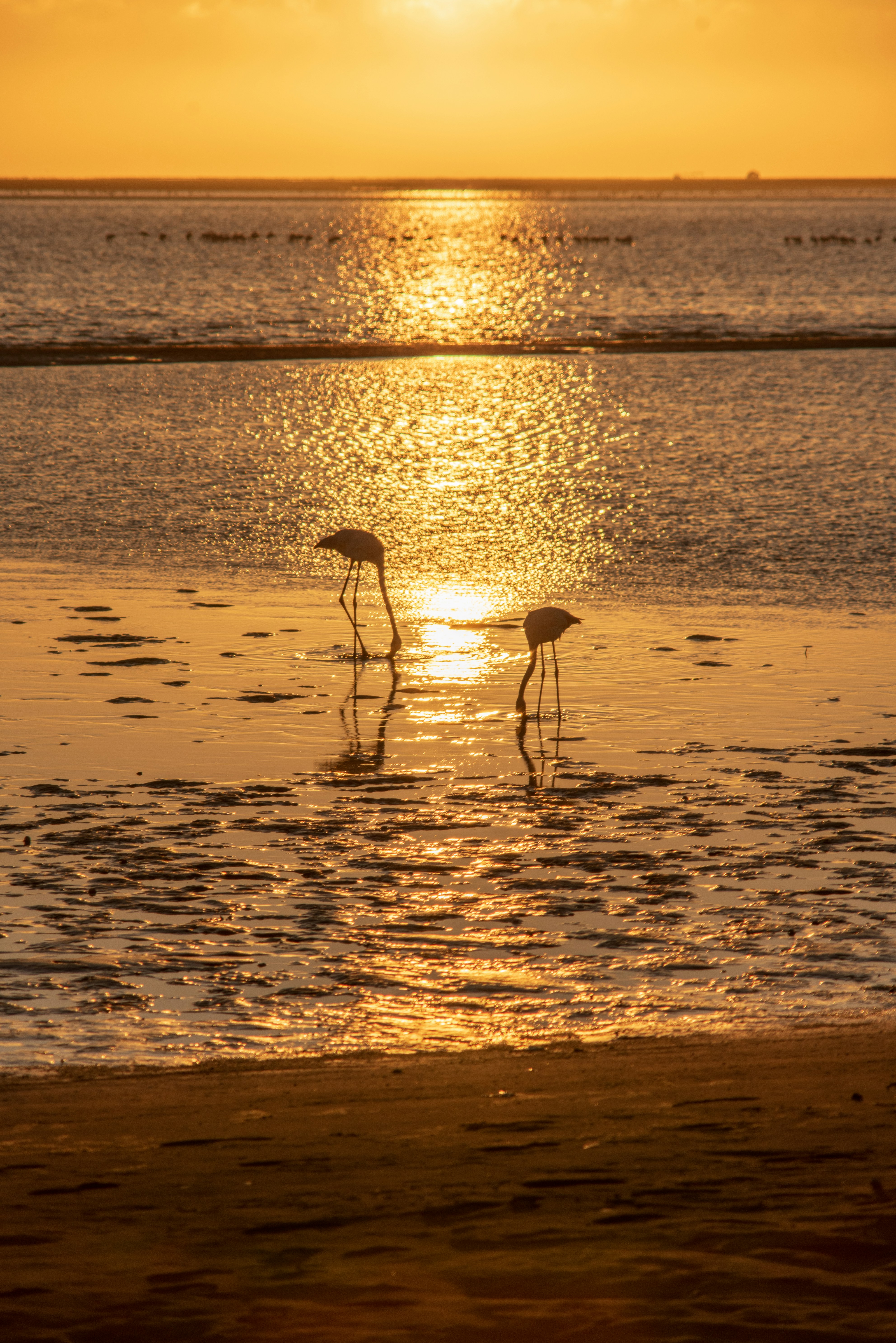 Photo by captoprisko