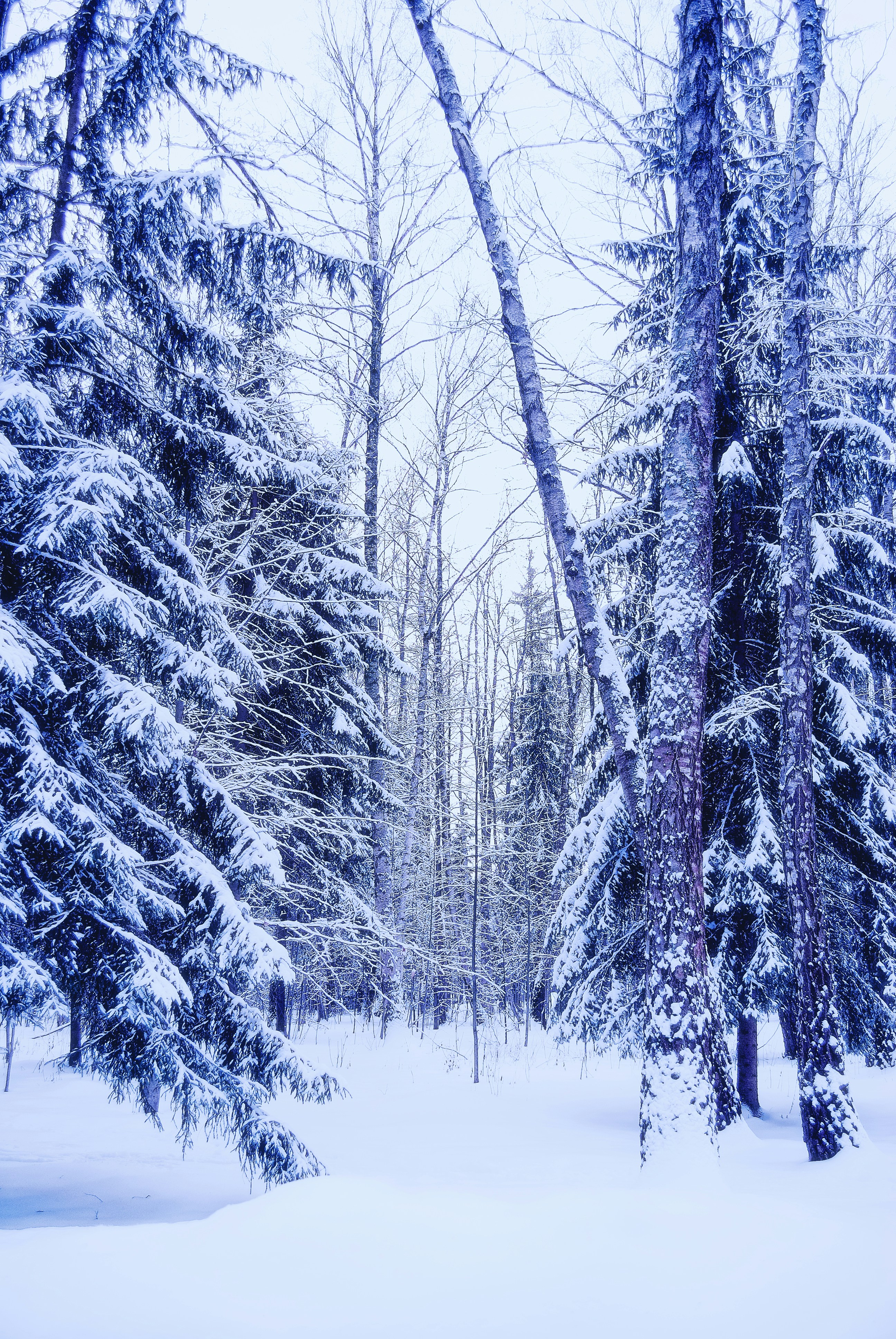 Photo by anantapalan