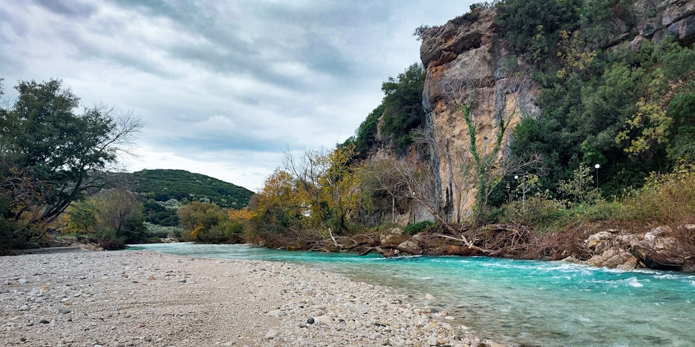 a rocky beach with trees and a body of water