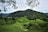 Lush, rolling green hills covered in tea plantations stretch across the landscape, with rows of tea plants creating a textured pattern. A mountain rises in the background, dense with trees, while a few branches hang down from the top of the image, framing the scene.