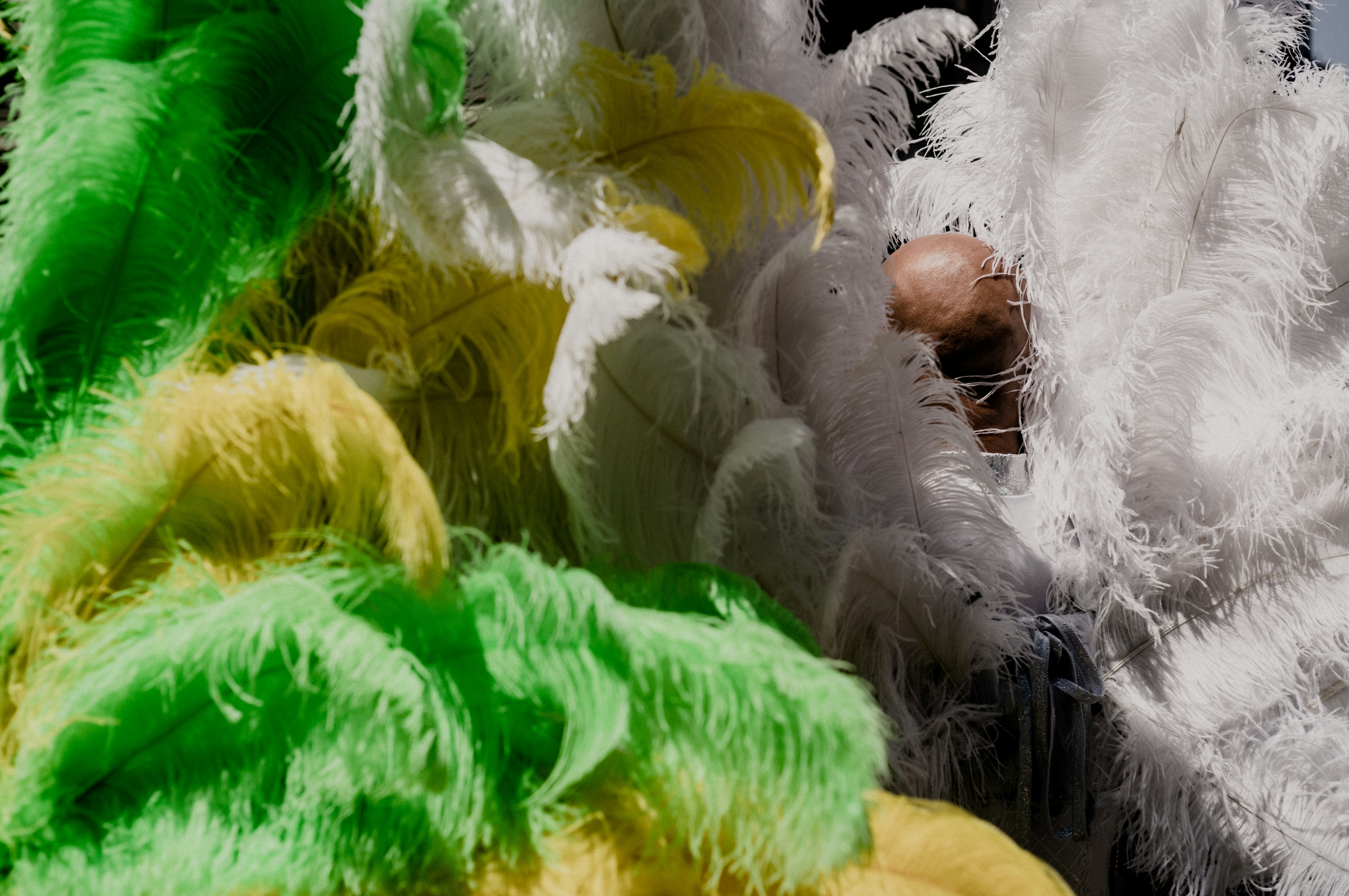 Un primer plano de un gato