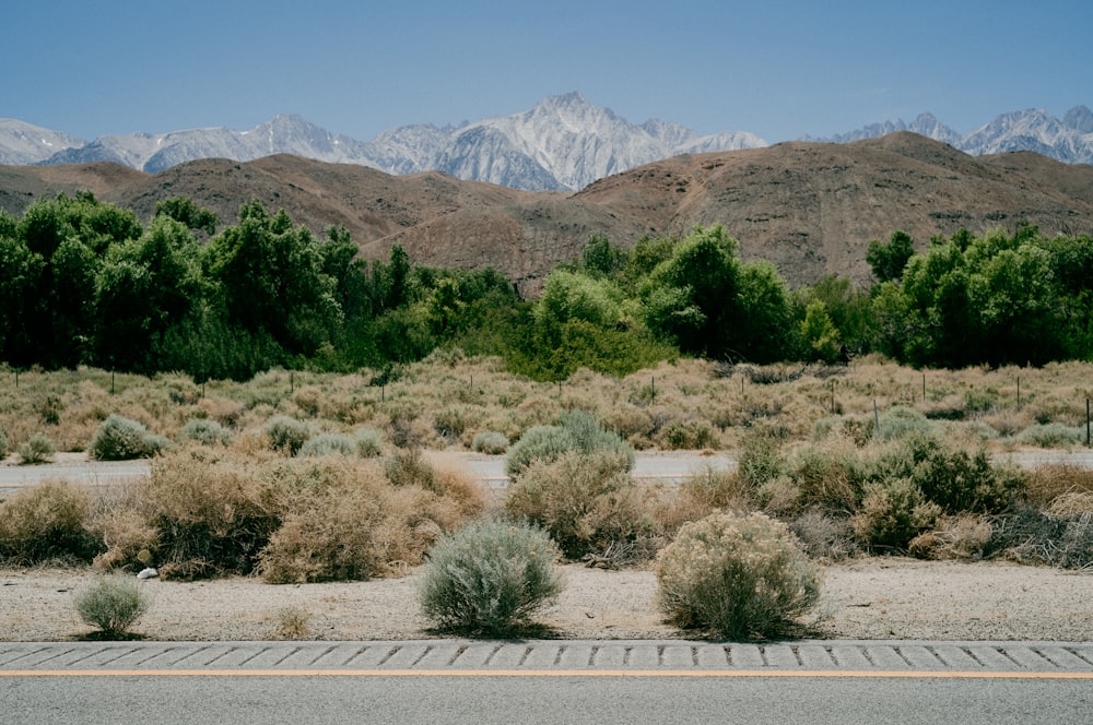 a desert landscape with trees and mountains