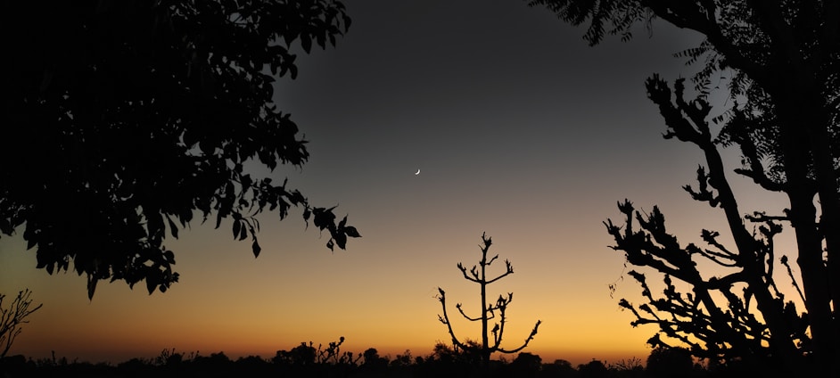 A serene twilight landscape blending shadows and light, symbolizing eternal balance.