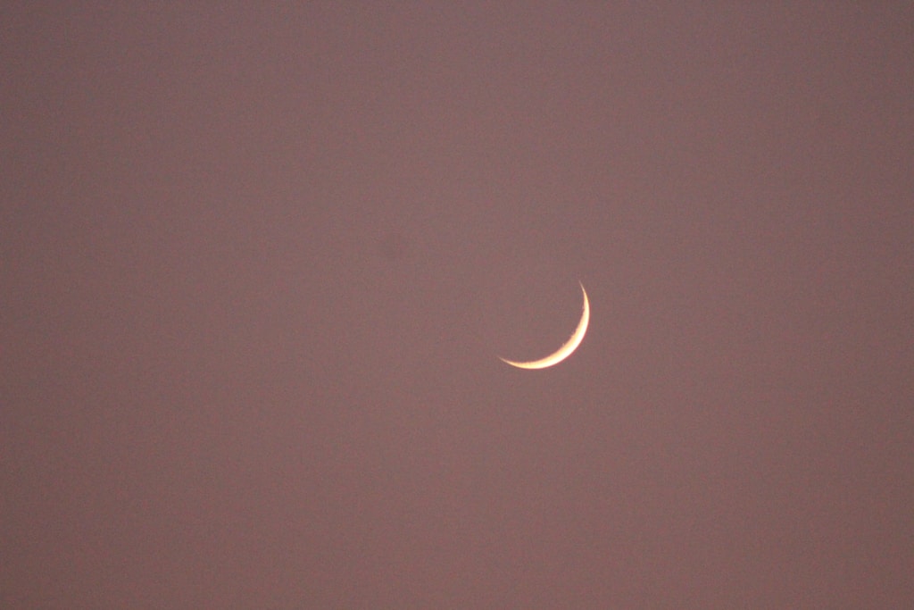 Moonlit Reverie