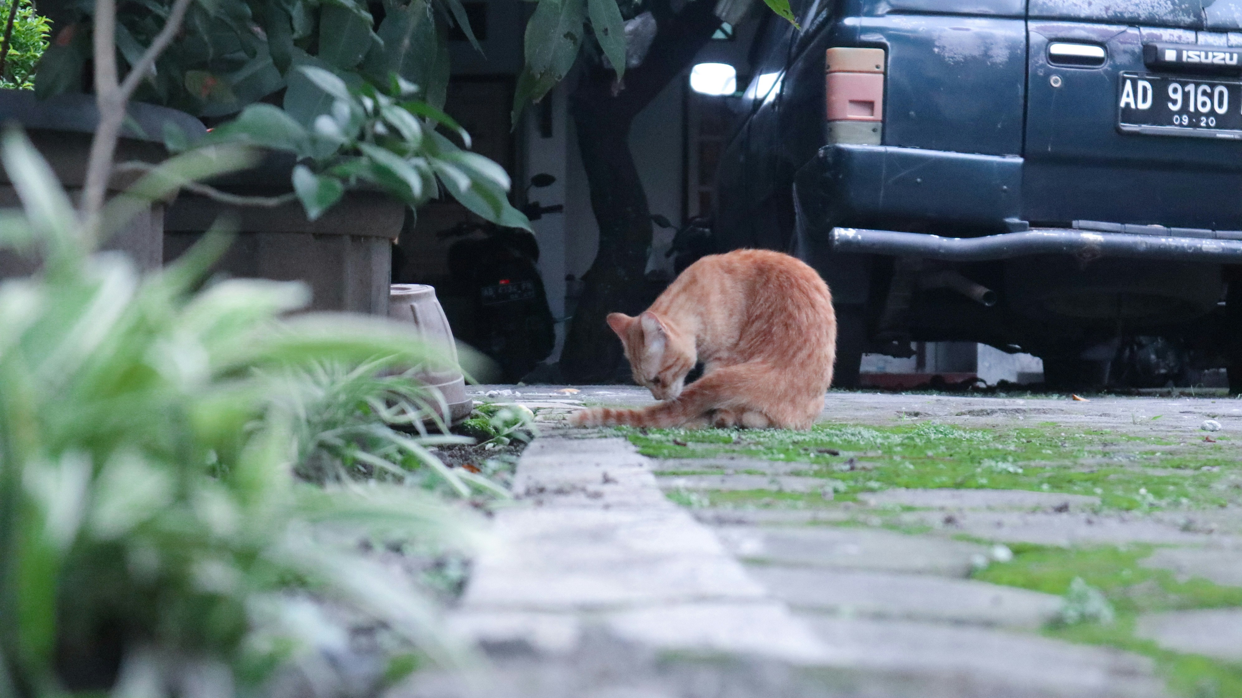 Photo by muhamadfkri