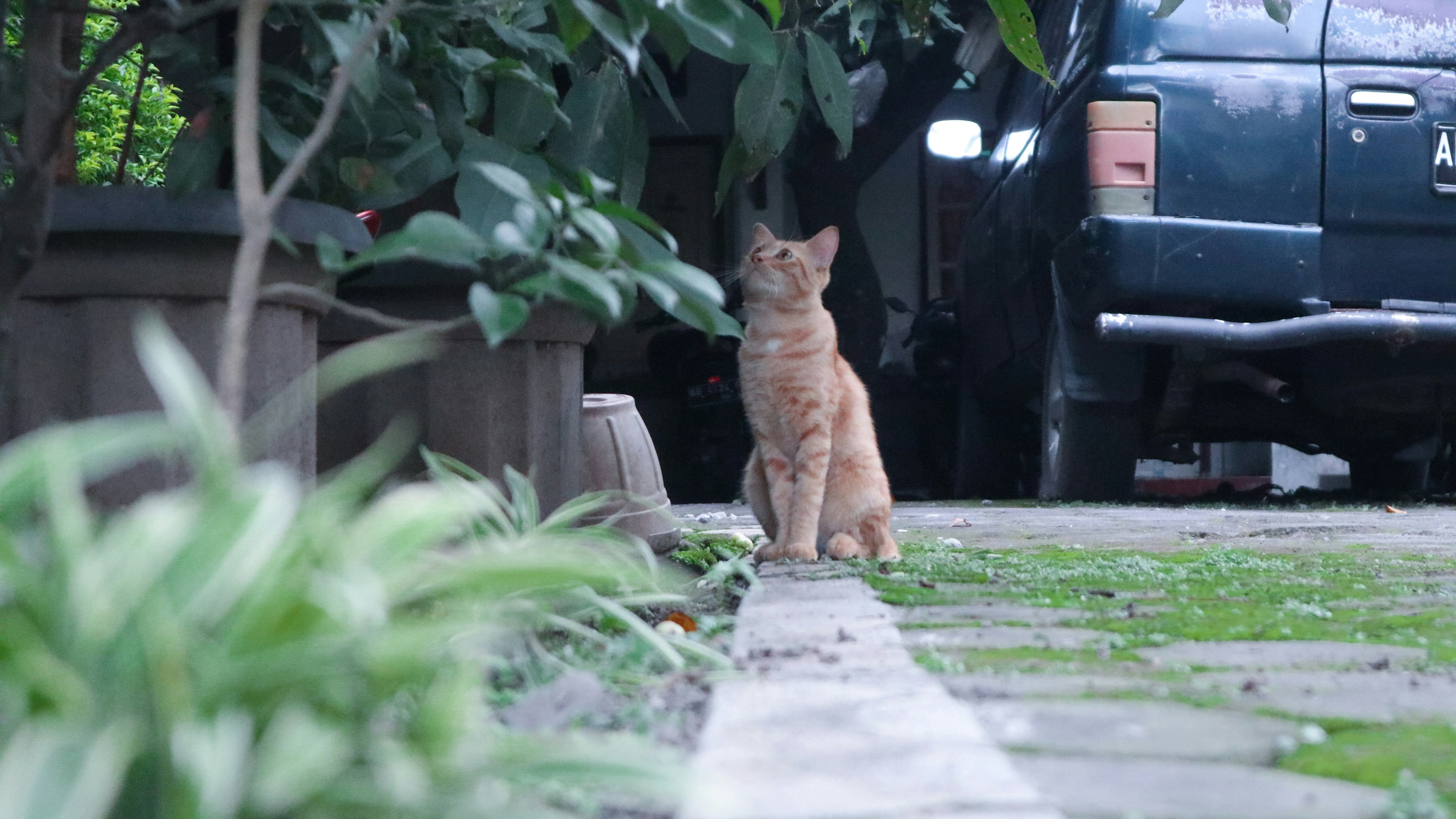 Photo by muhamadfkri