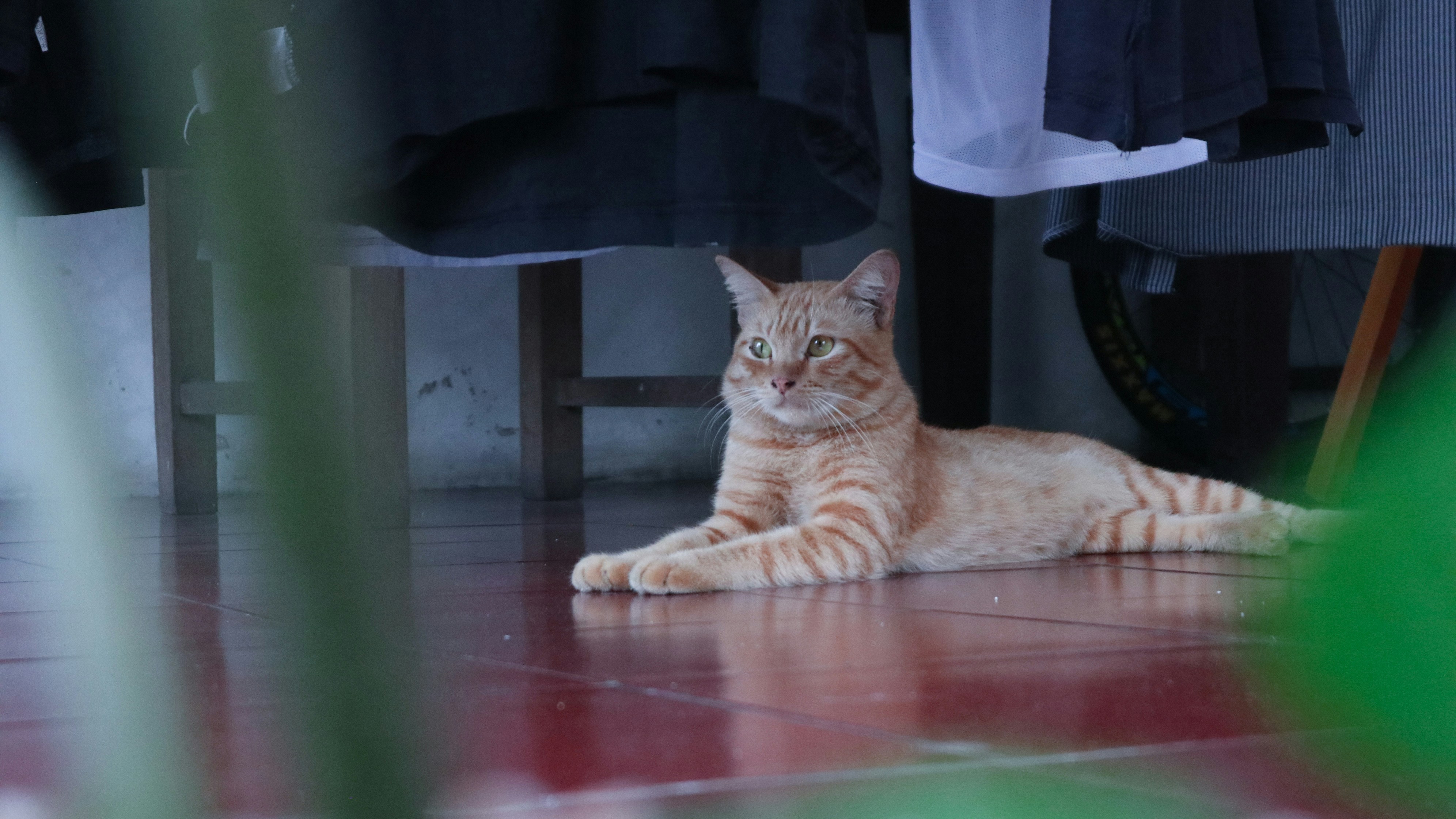 Photo by muhamadfkri