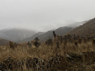 A mystical landscape representing the borderlands of witchcraft.
