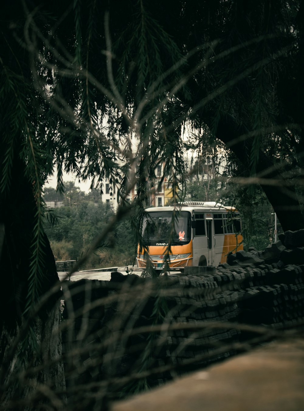 a bus driving on a road