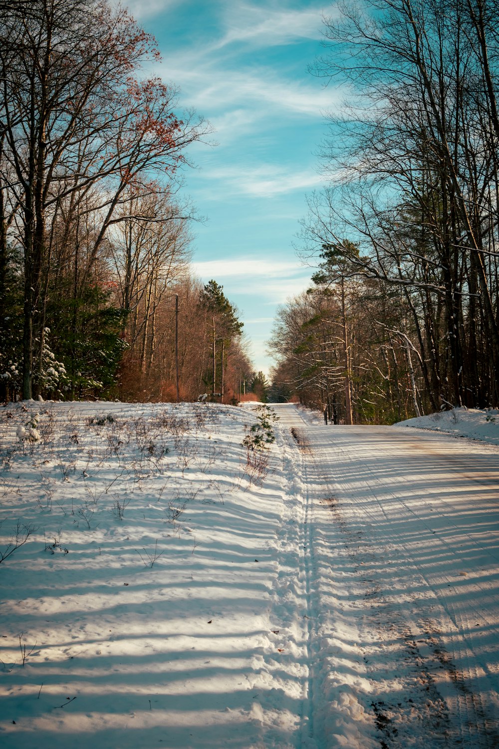 a snowy road with trees on either side of it