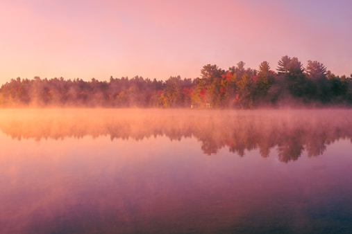 a body of water with trees around it