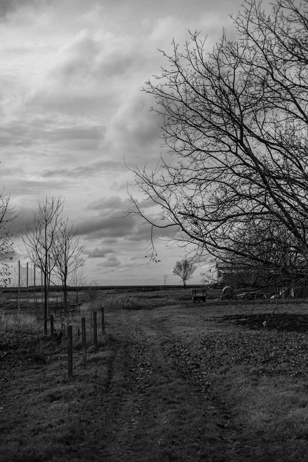 a field with trees and a fence